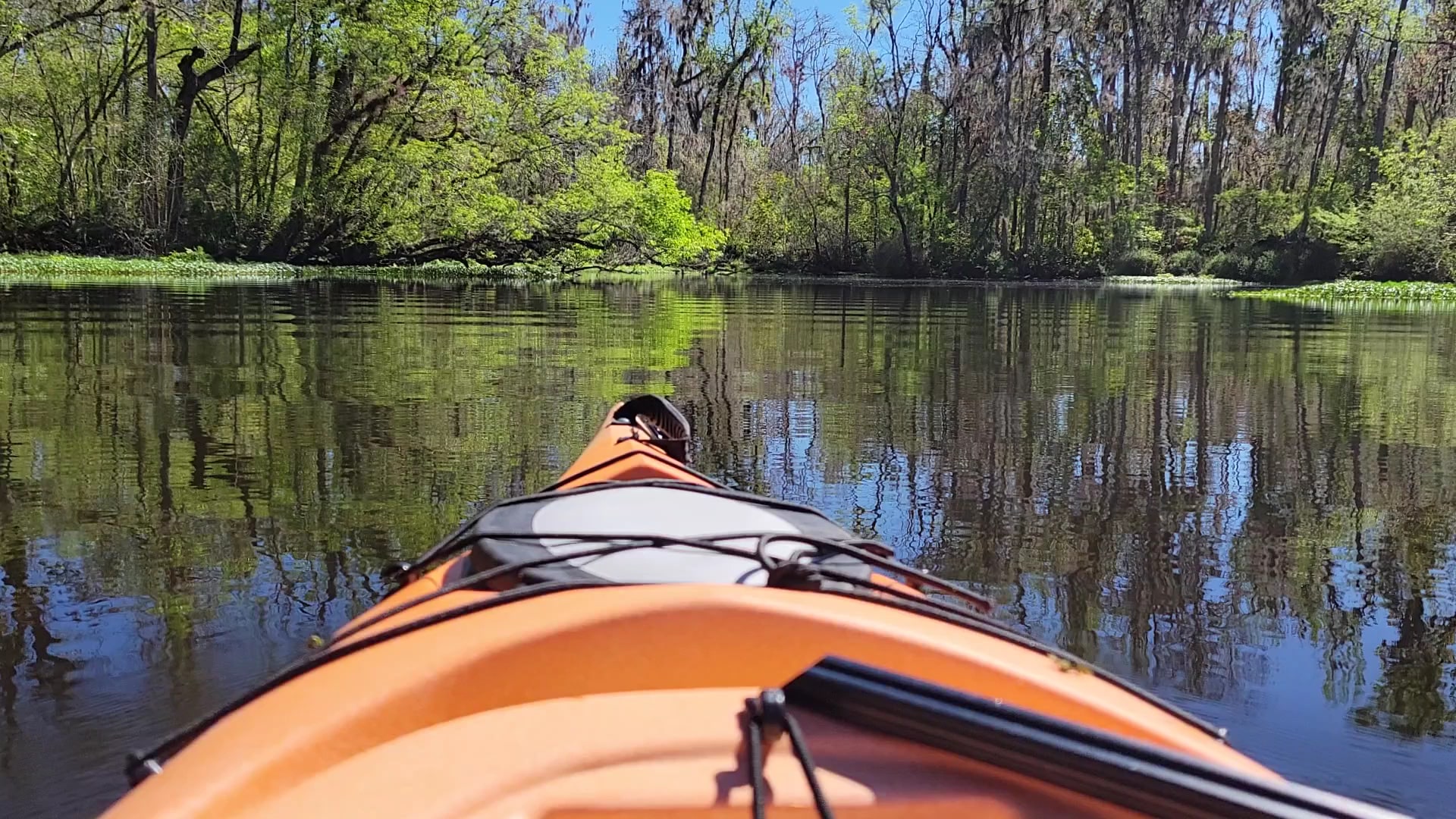 Deep Creek Conservation Area - North Tract Entrance - Elkton, FL