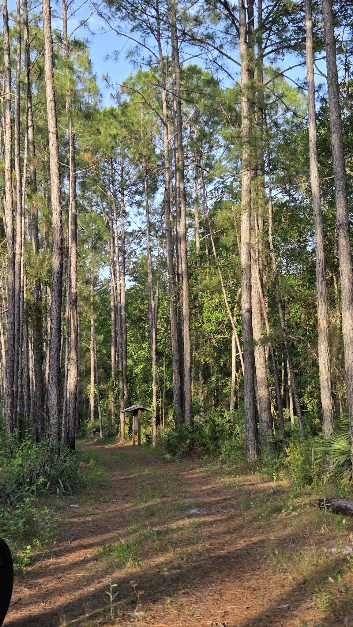 Deep Creek Conservation Area - North Tract Entrance - Elkton, FL