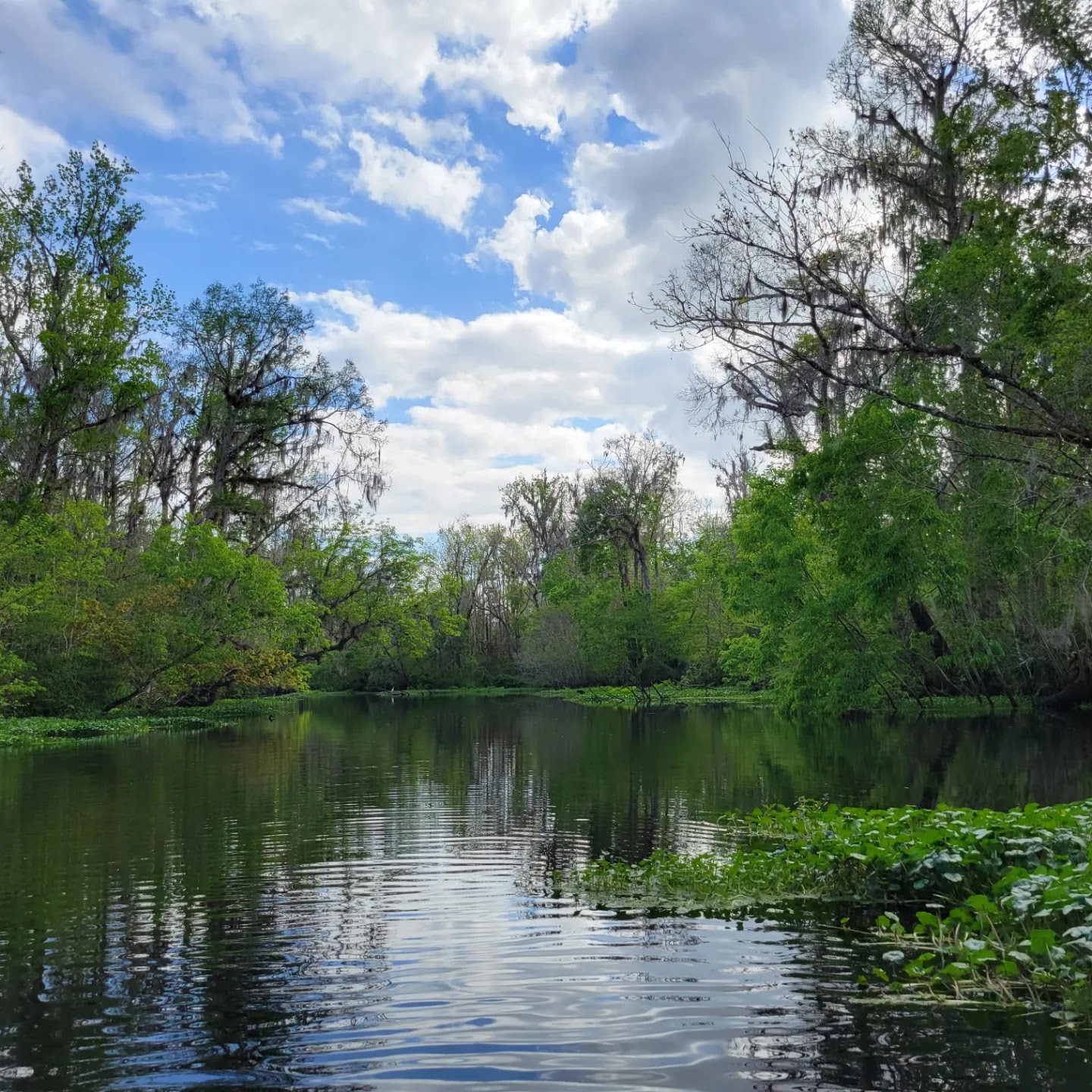 Deep Creek Conservation Area - North Tract Entrance - Elkton, FL