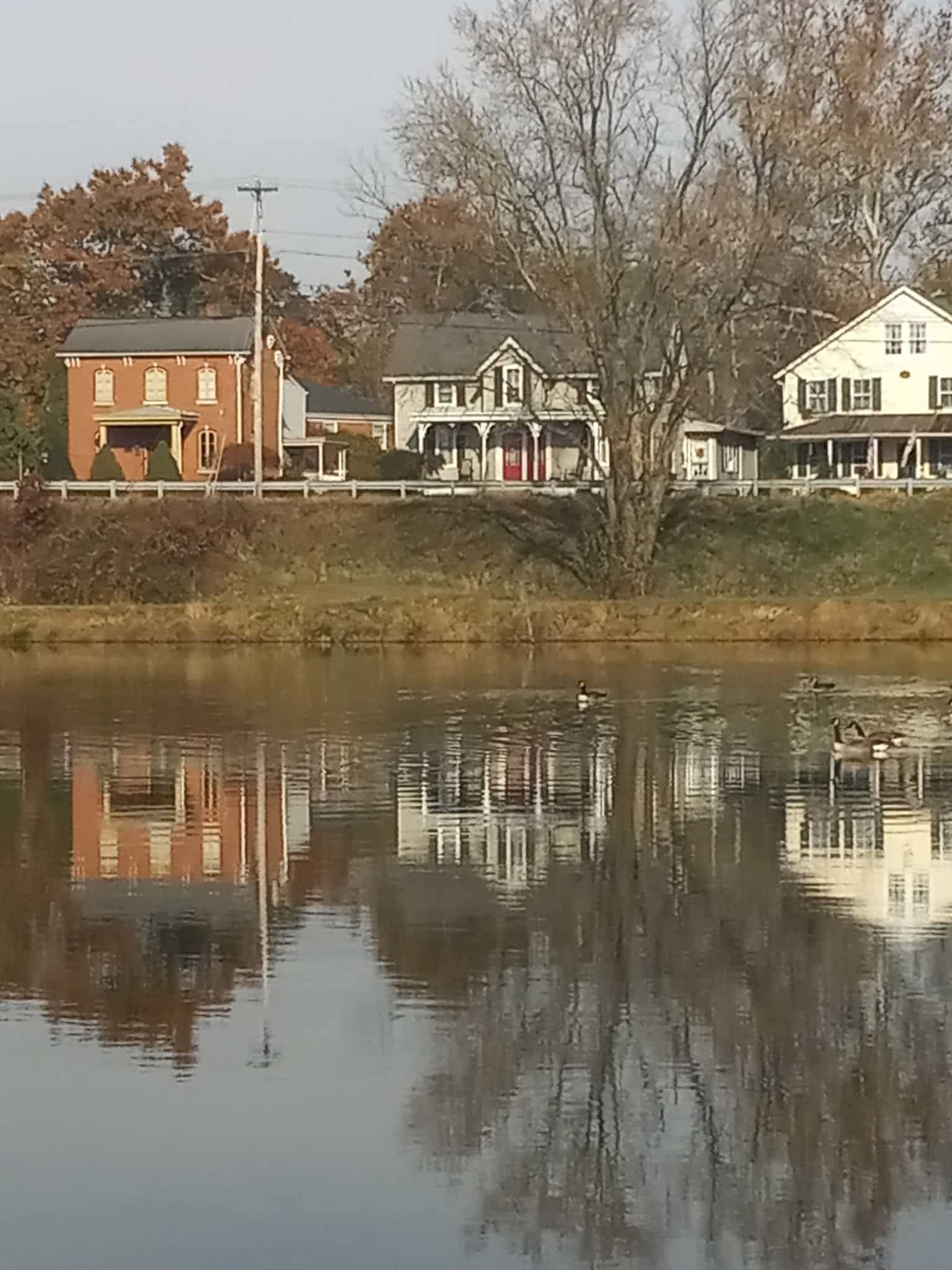 Cow Pond Recreation Area - Elkton, MD