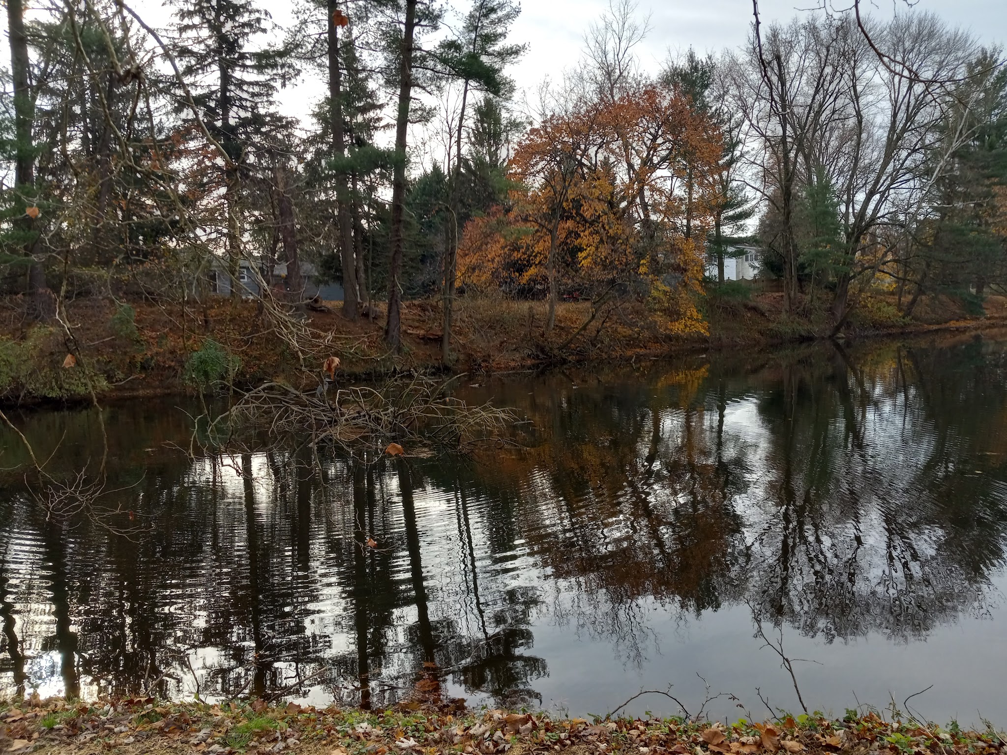 Evans McKinney Park - Elkton, MD