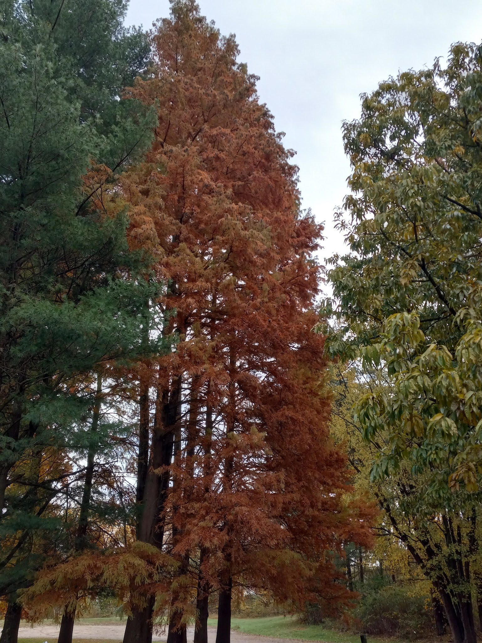 Hatchery Park - Elkton, MD