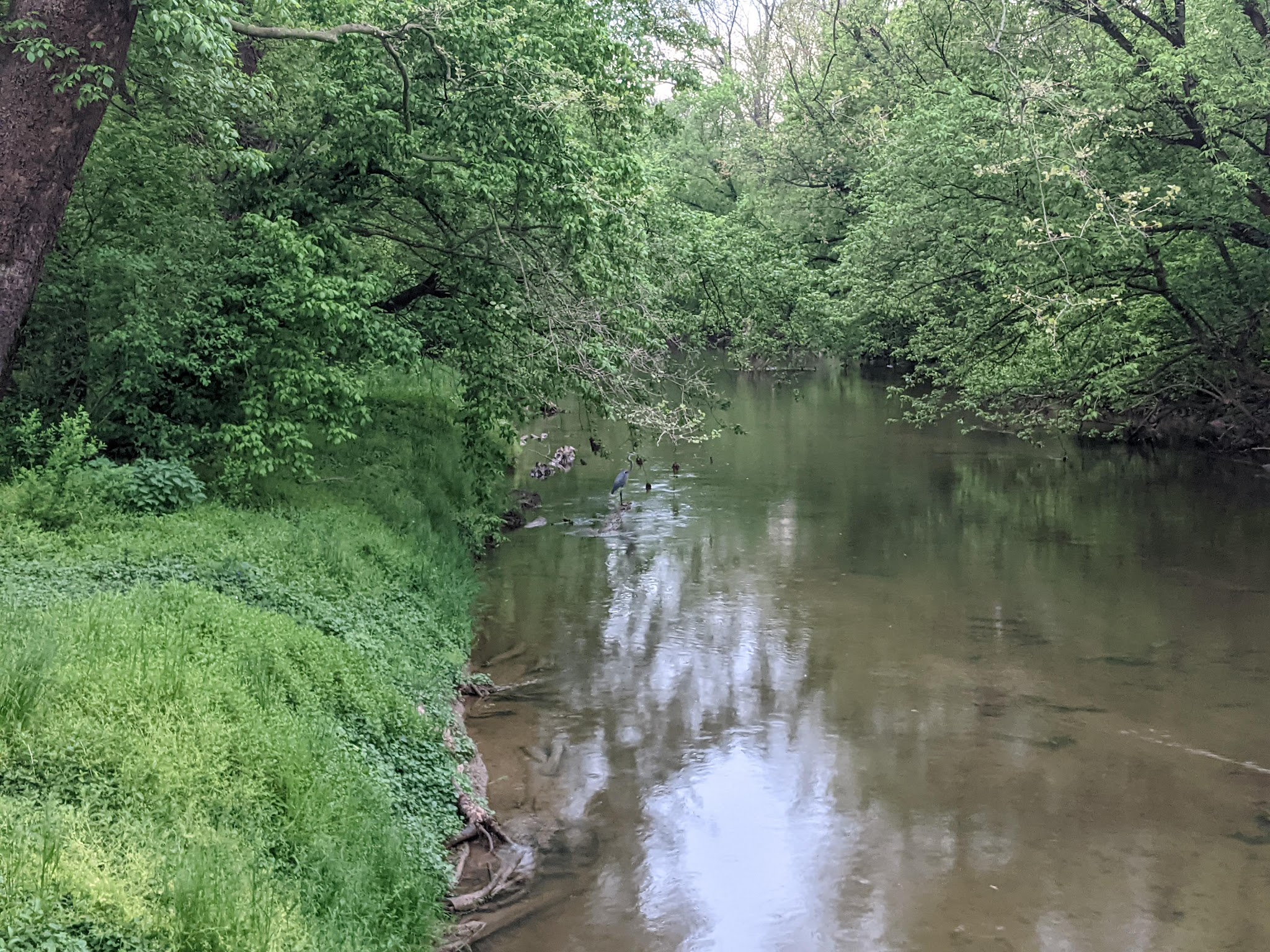 Meadow Park - Elkton, MD