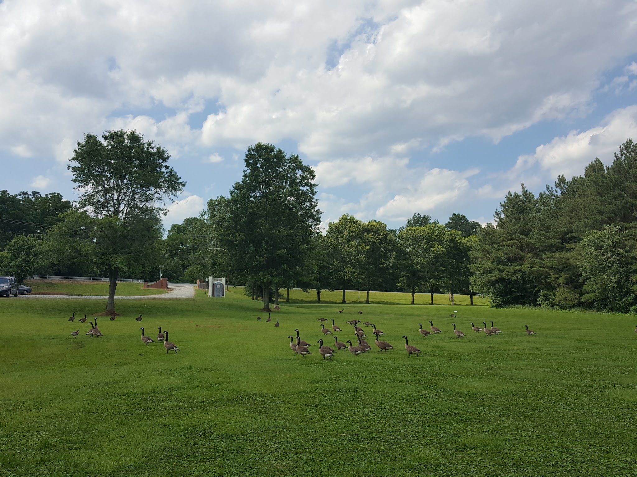 Meadow Park - Elkton, MD