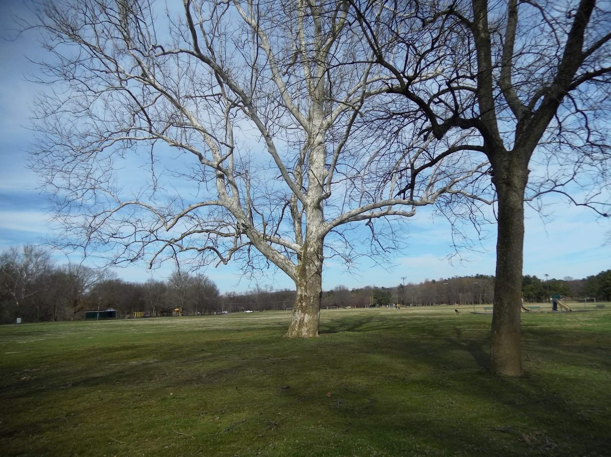 Meadow Park - Elkton, MD