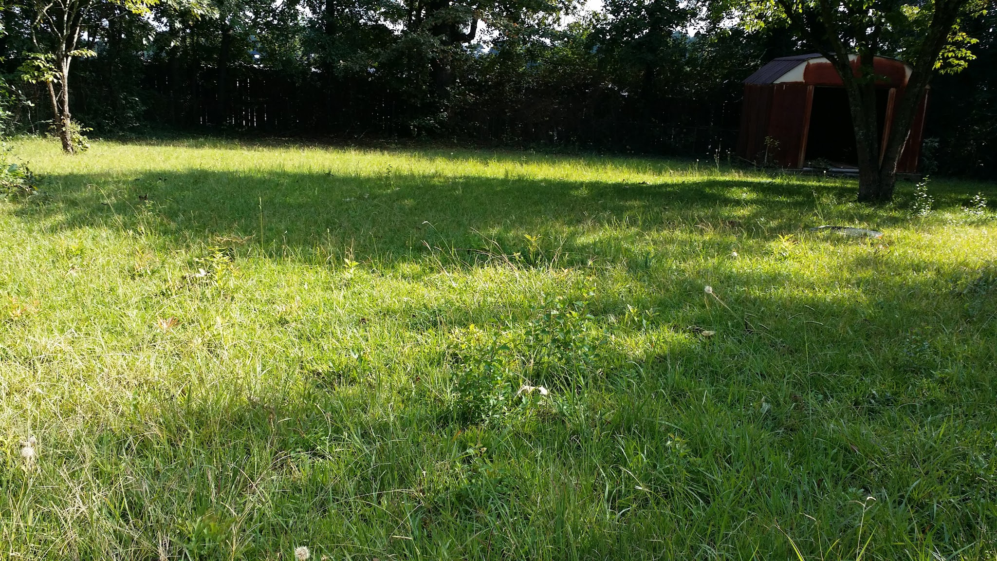 Pine Circle Park - Ellenwood, GA