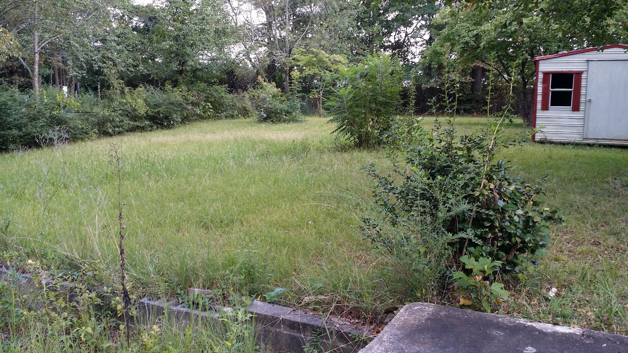 Pine Circle Park - Ellenwood, GA