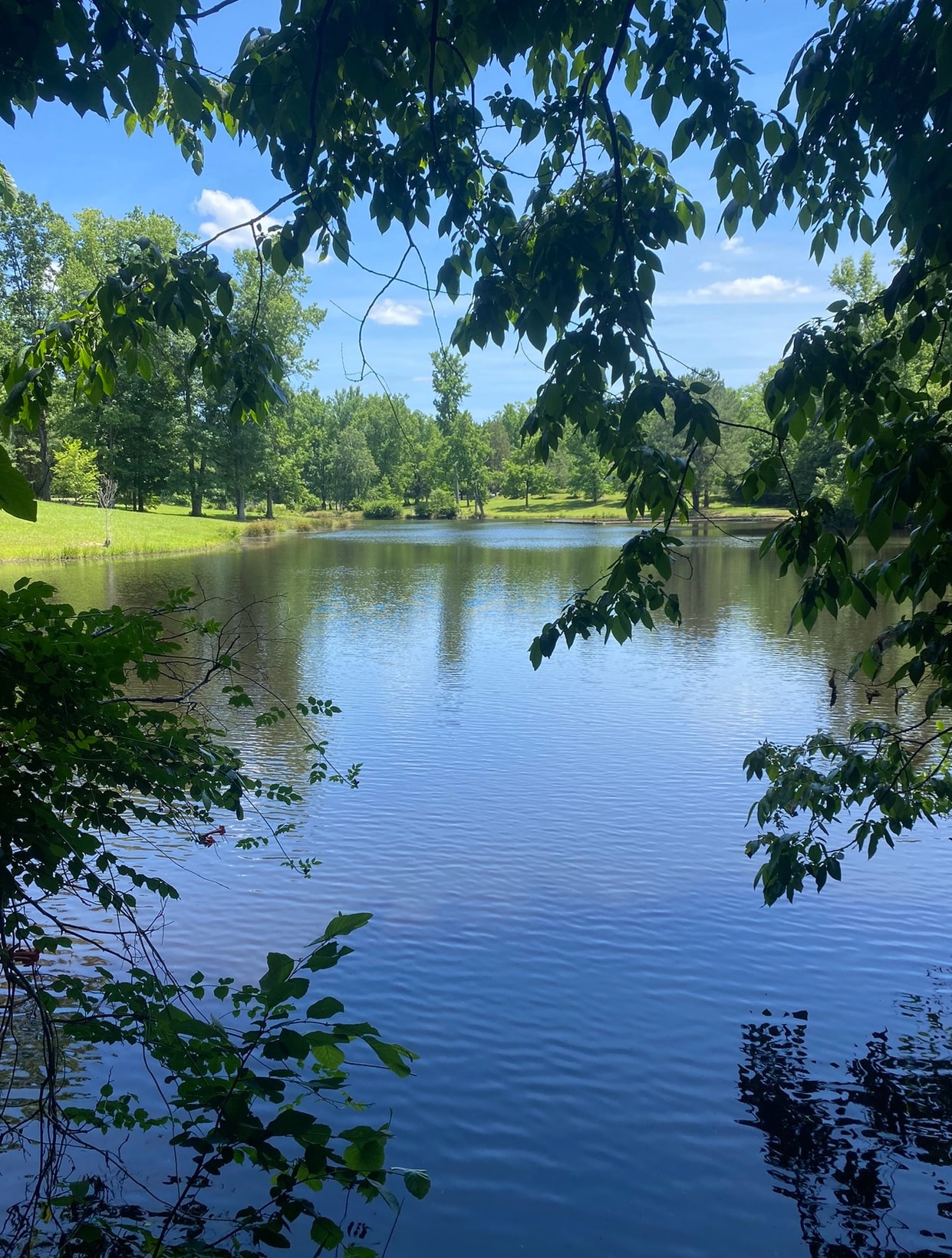 Ellerbe Springs Resort - Ellerbe, NC