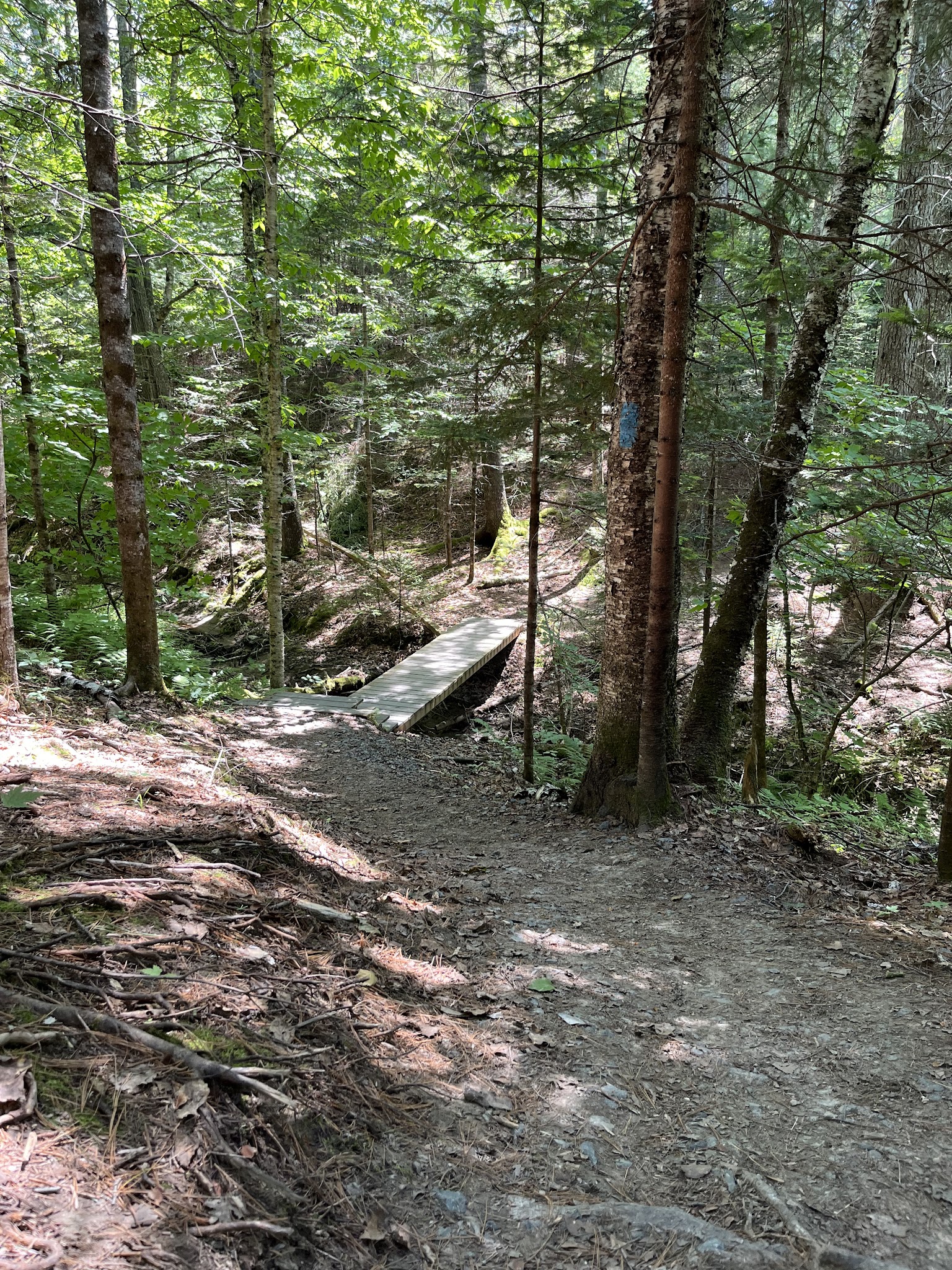 Jordan Homestead Preserve - Ellsworth, ME