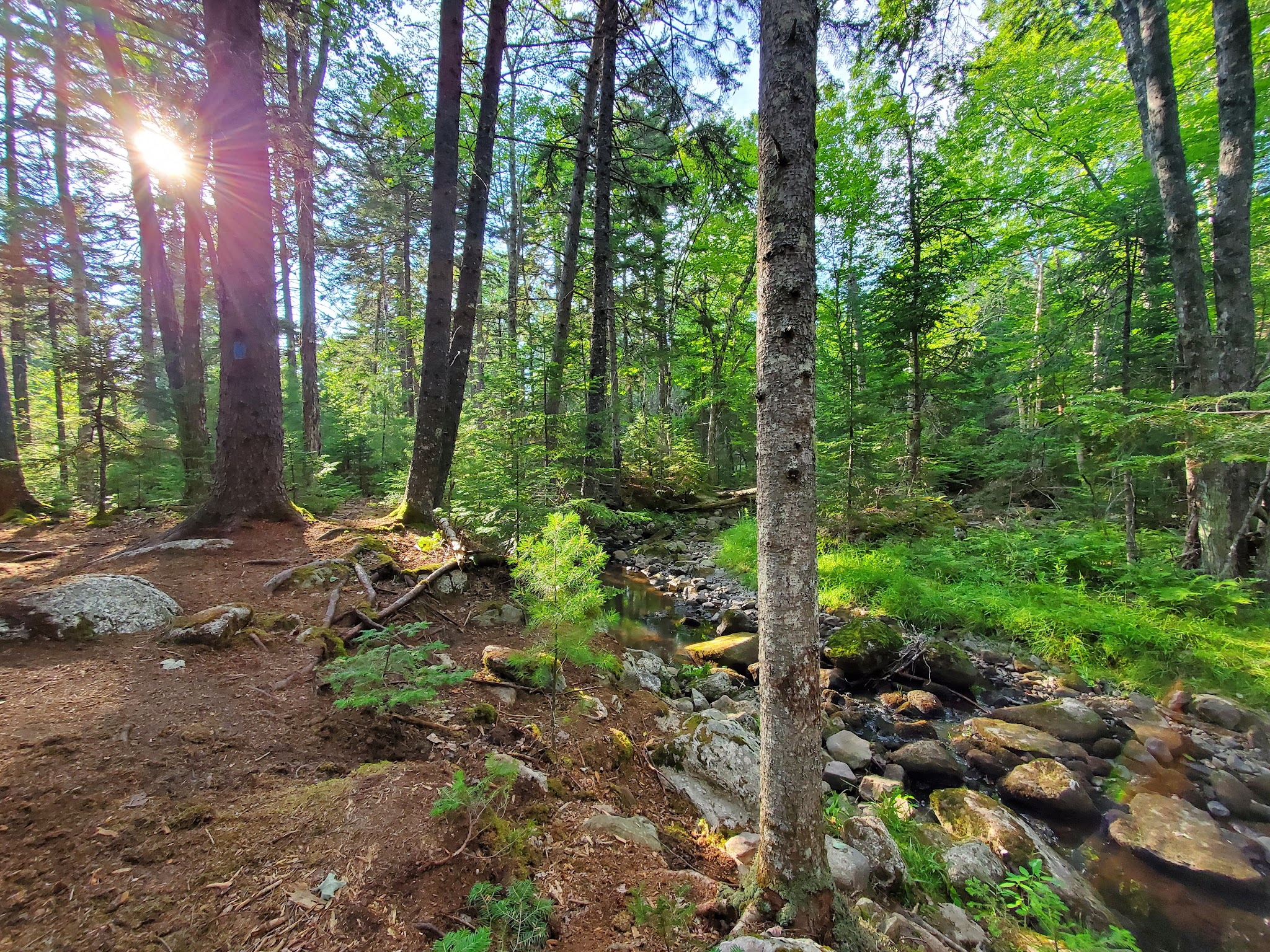 Jordan Homestead Preserve - Ellsworth, ME
