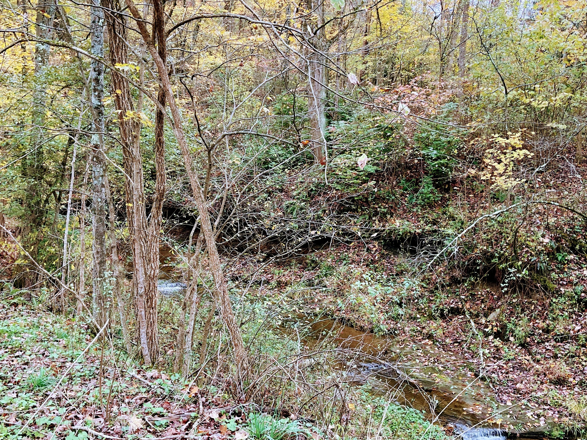Nature Trail: Joffre Street Trailhead - Ellwood City, PA