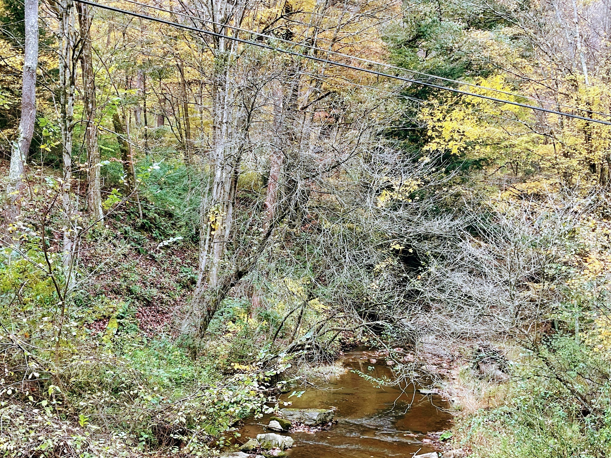 Nature Trail: Joffre Street Trailhead - Ellwood City, PA