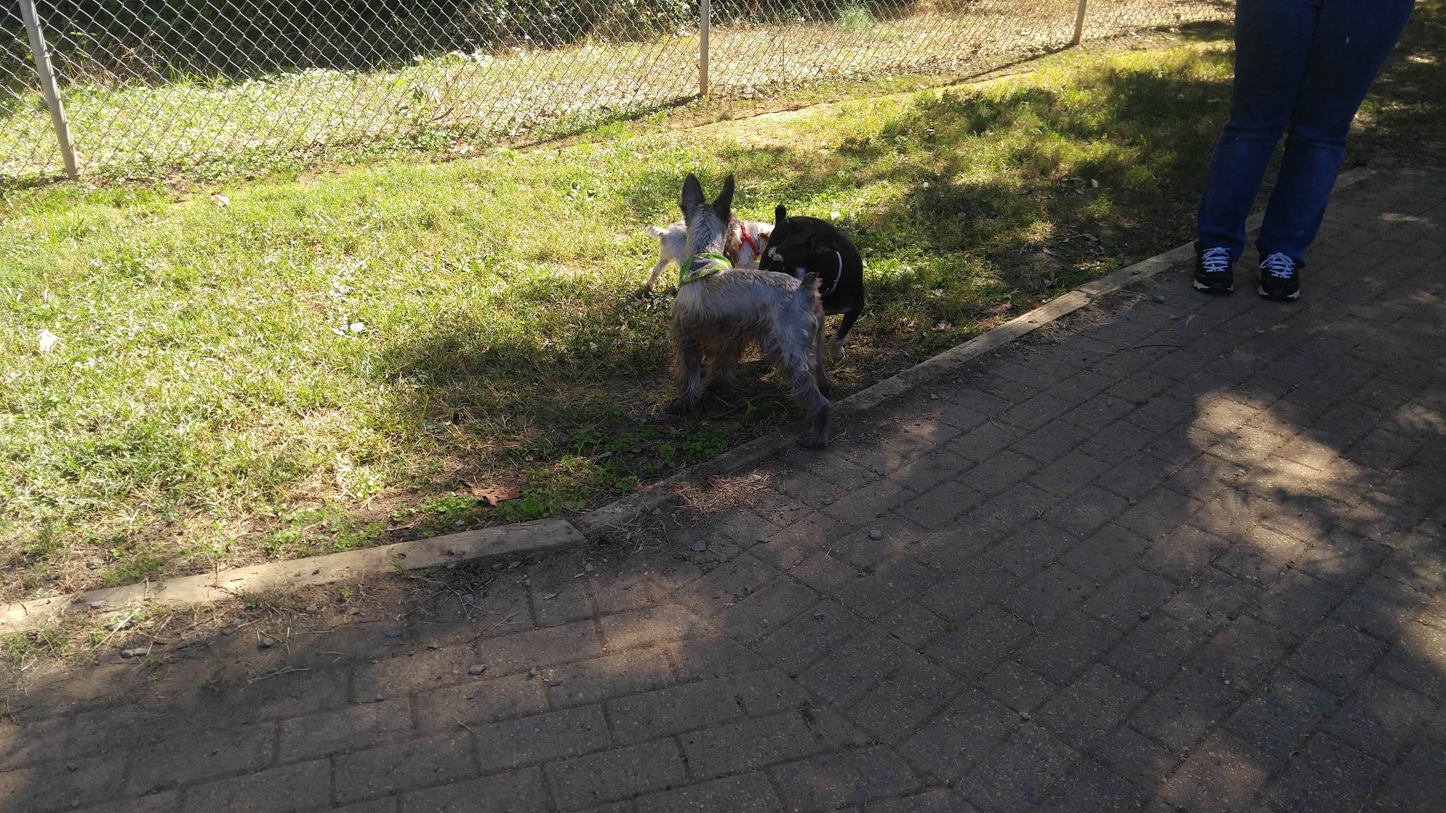 Elon Dog Park - K-9 Corner at Schmidt Park - Elon, NC