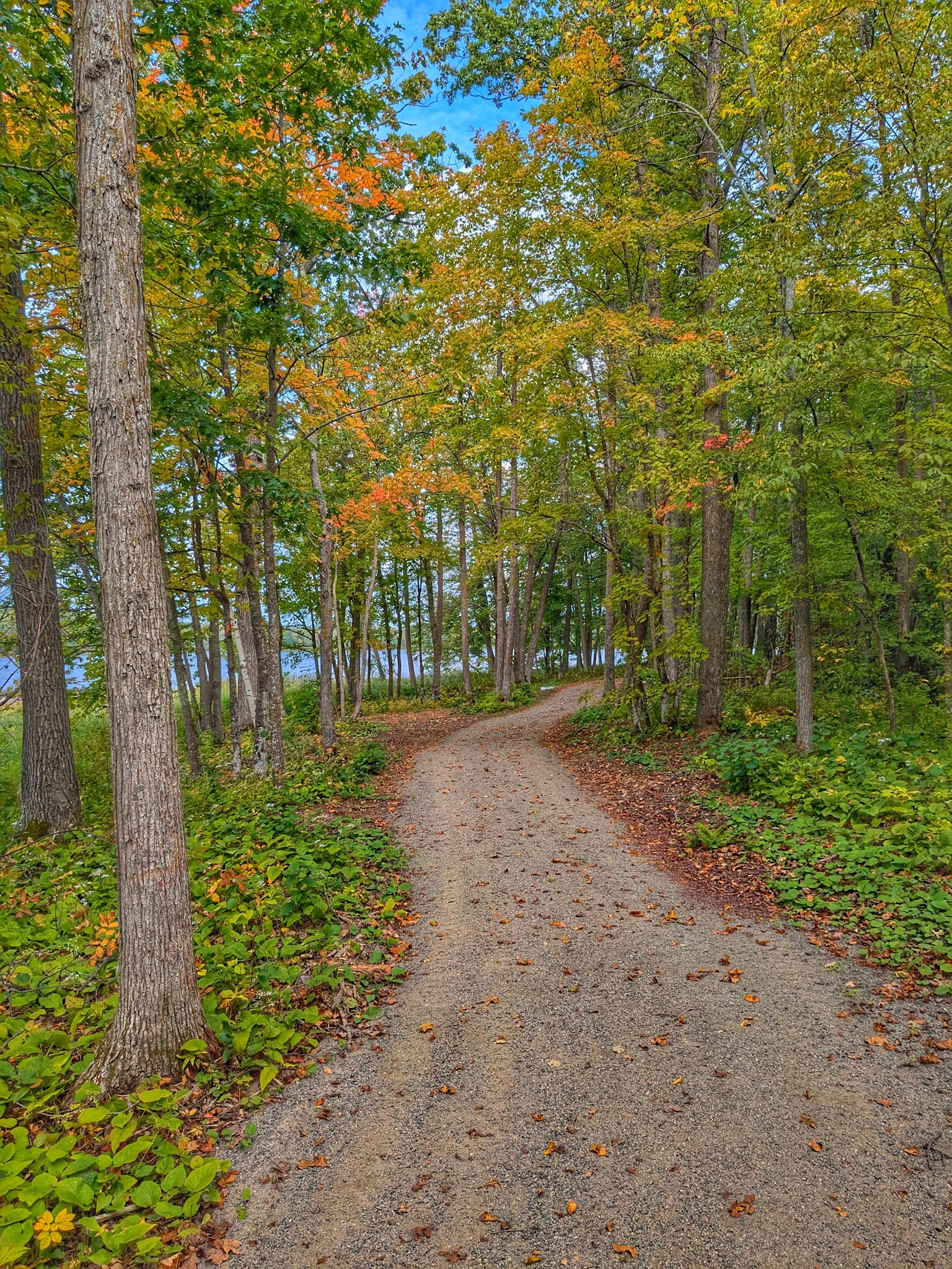Little Emily Lake Park - Emily, MN