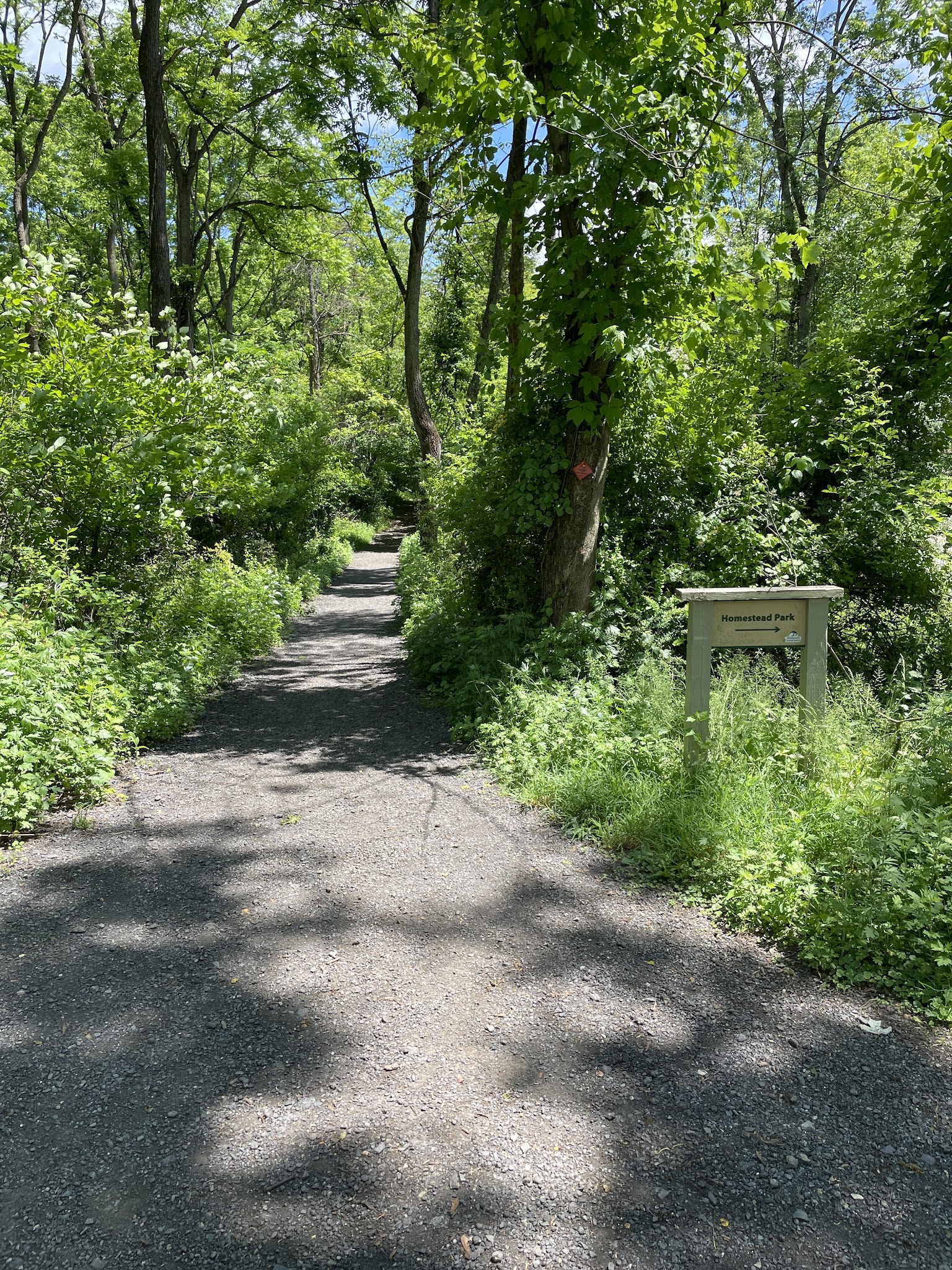 Boroline Park - Emmaus, PA