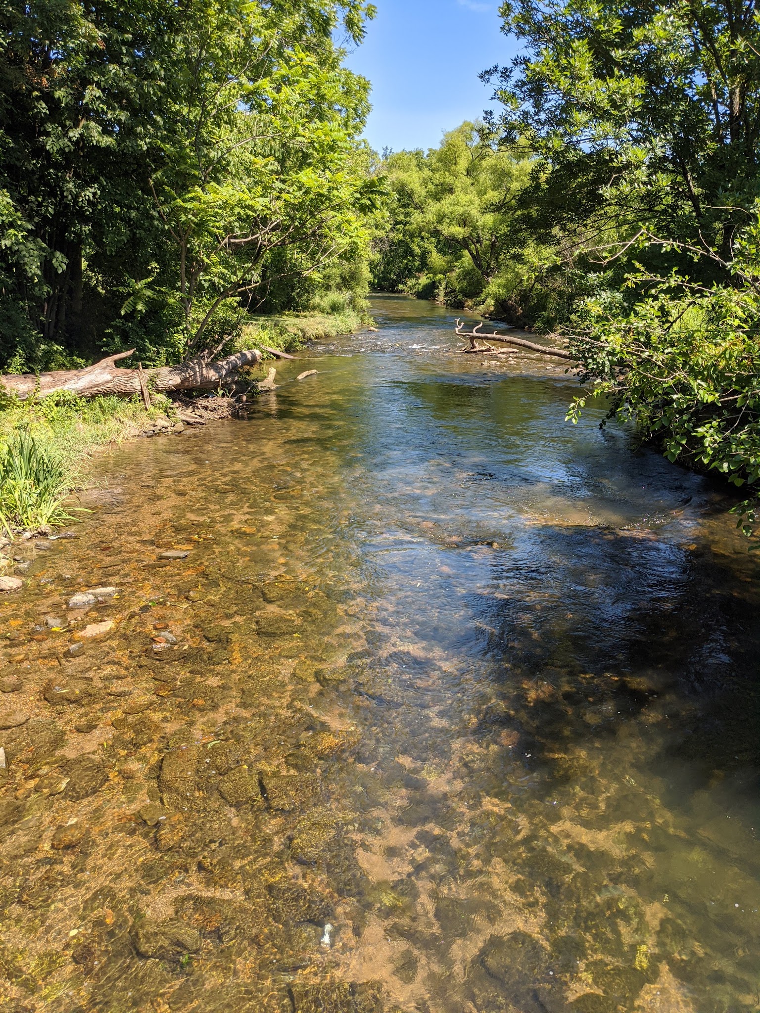 Camp Olympic Park - Emmaus, PA