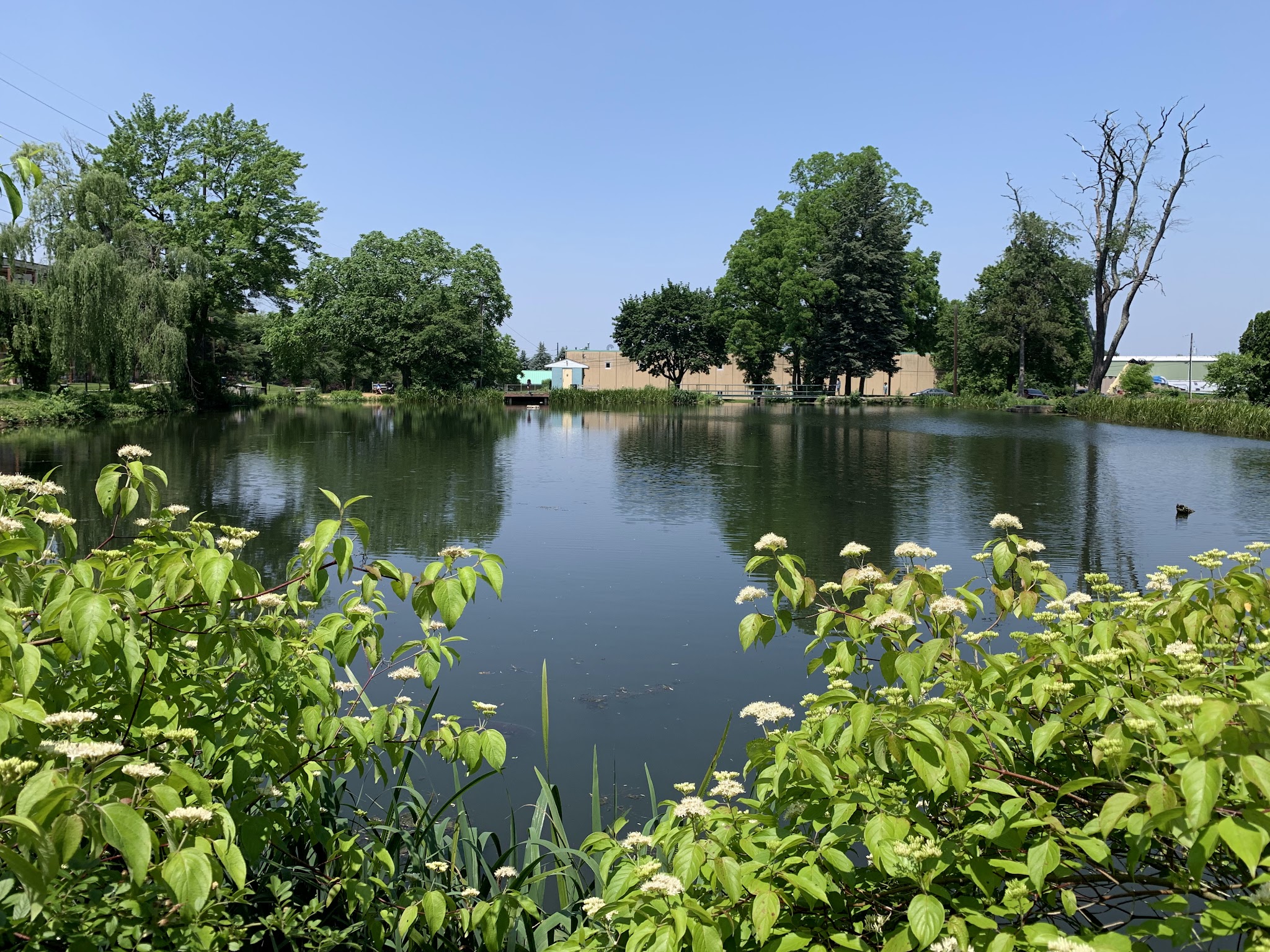 Furnace Dam Park - Emmaus, PA