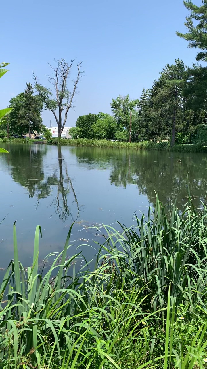 Furnace Dam Park - Emmaus, PA