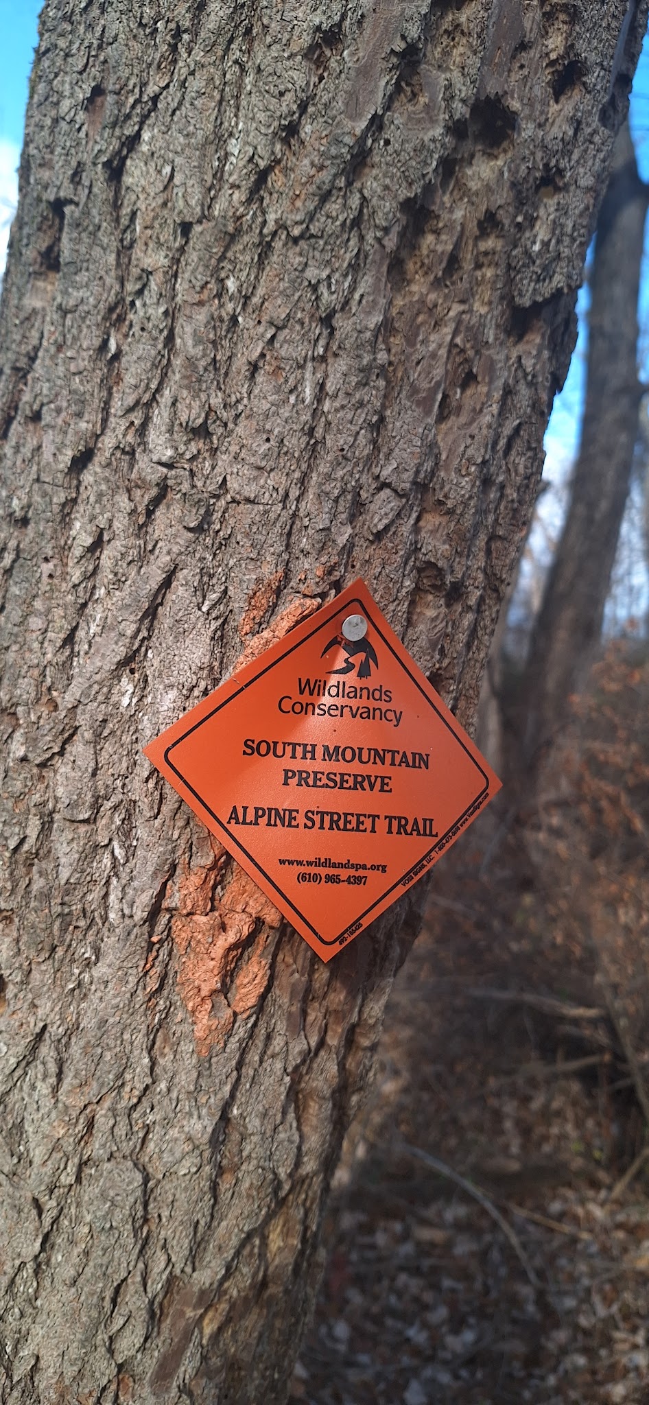 Wildlands Conservancy Buehler Memorial Park - Emmaus, PA