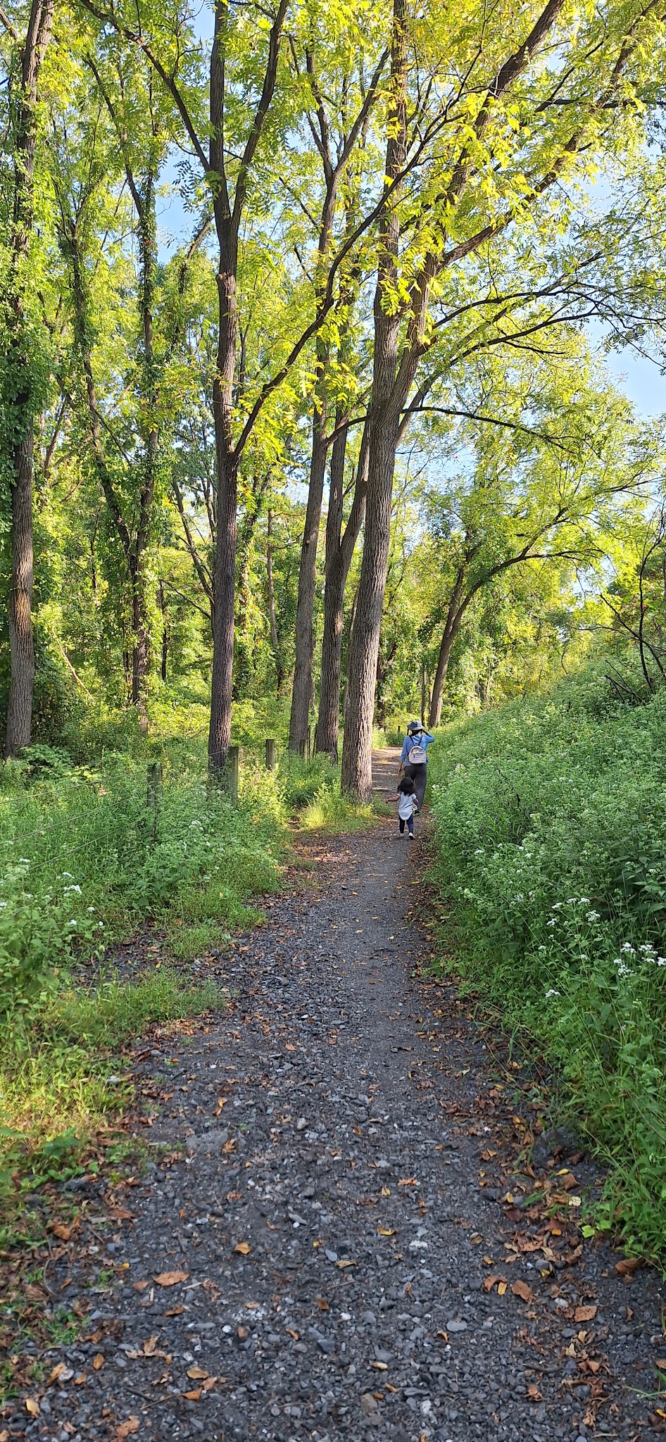 Wildlands Conservancy Buehler Memorial Park - Emmaus, PA