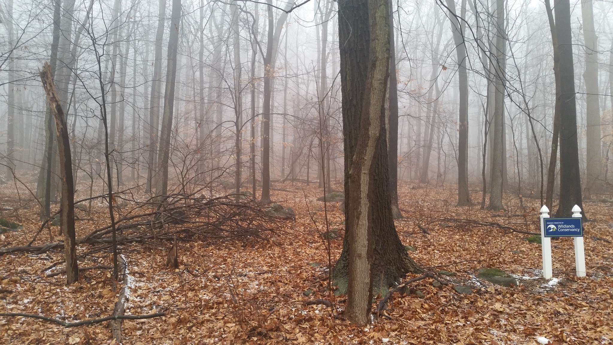 Wildlands Conservancy Buehler Memorial Park - Emmaus, PA