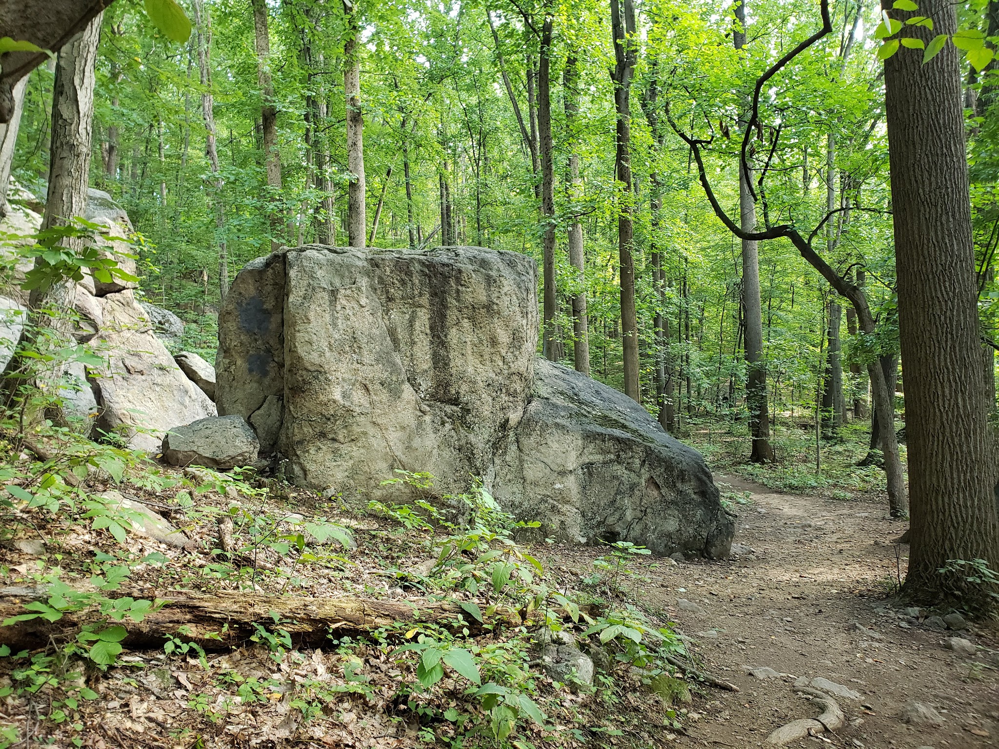 Wildlands Conservancy’s South Mountain Preserve - Emmaus, PA