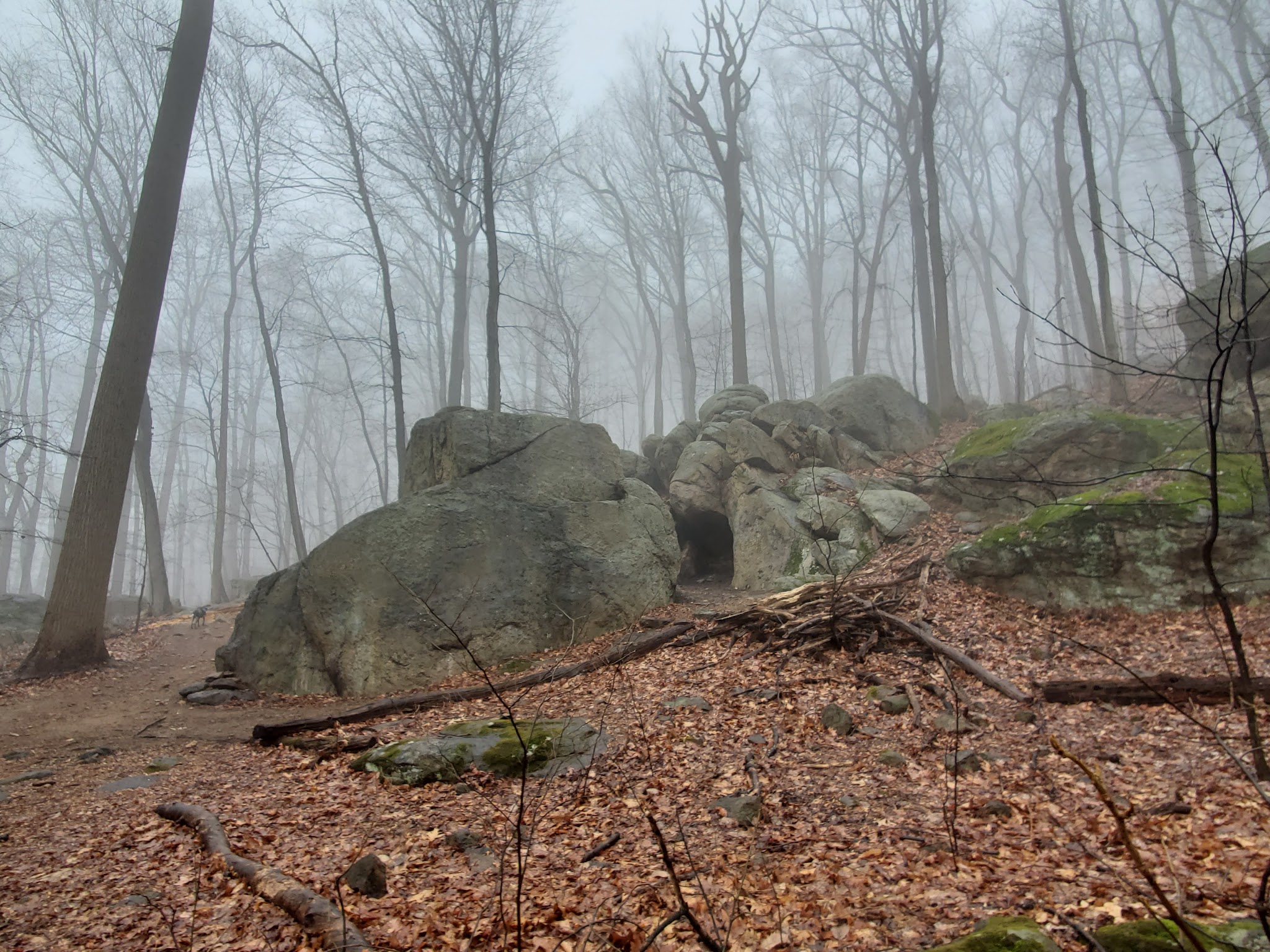 Wildlands Conservancy’s South Mountain Preserve - Emmaus, PA