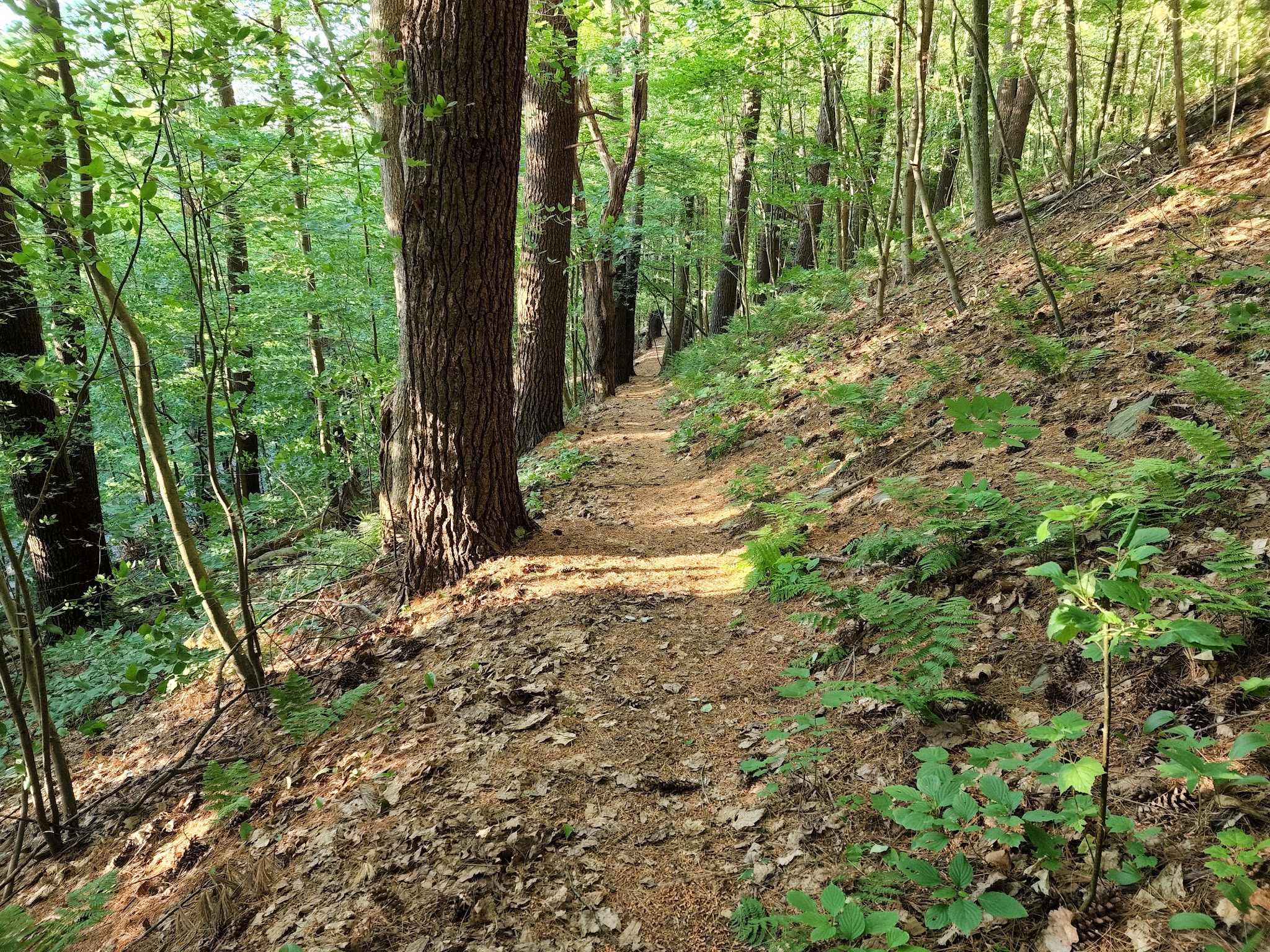 Roundtop Picnic Area - Endicott, NY