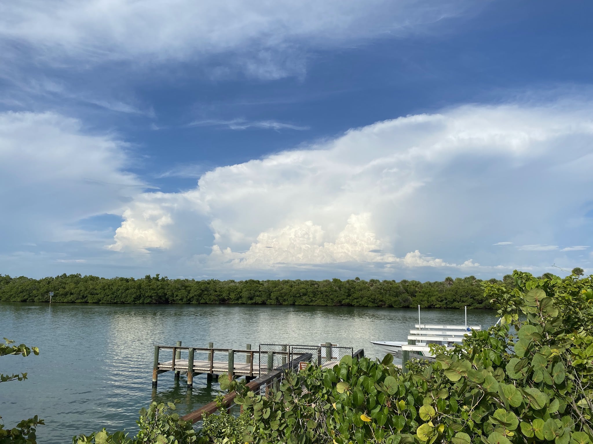 Lemon Bay Aquatic Preserve - Englewood, FL