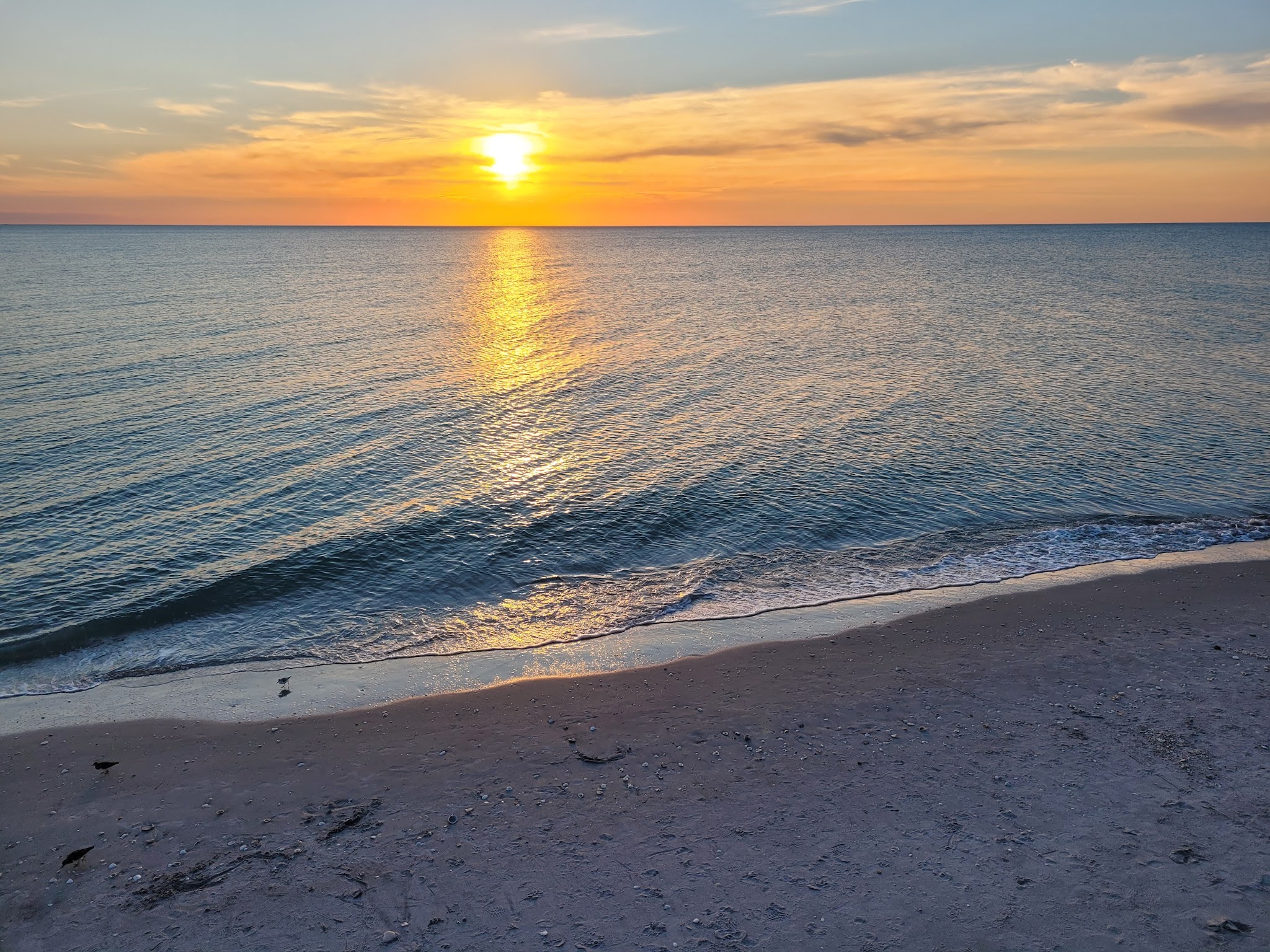 Lemon Bay Aquatic Preserve - Englewood, FL