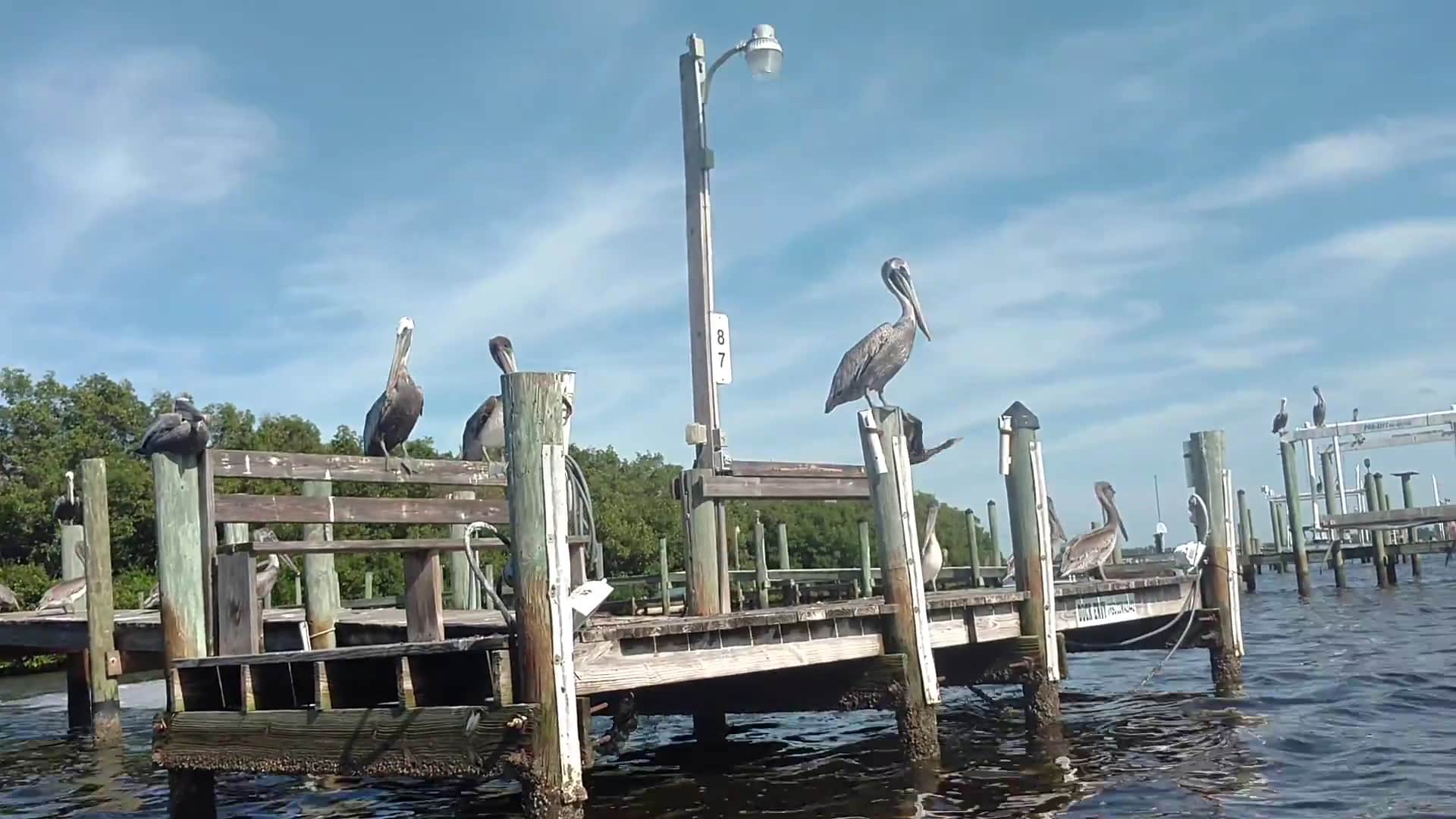 Lemon Bay Aquatic Preserve - Englewood, FL
