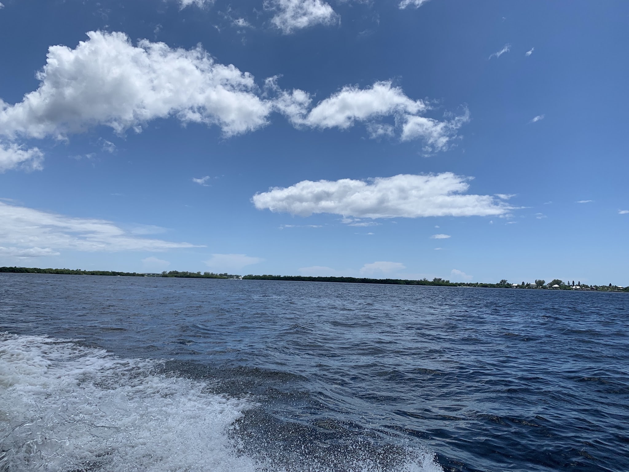 Lemon Bay Aquatic Preserve - Englewood, FL