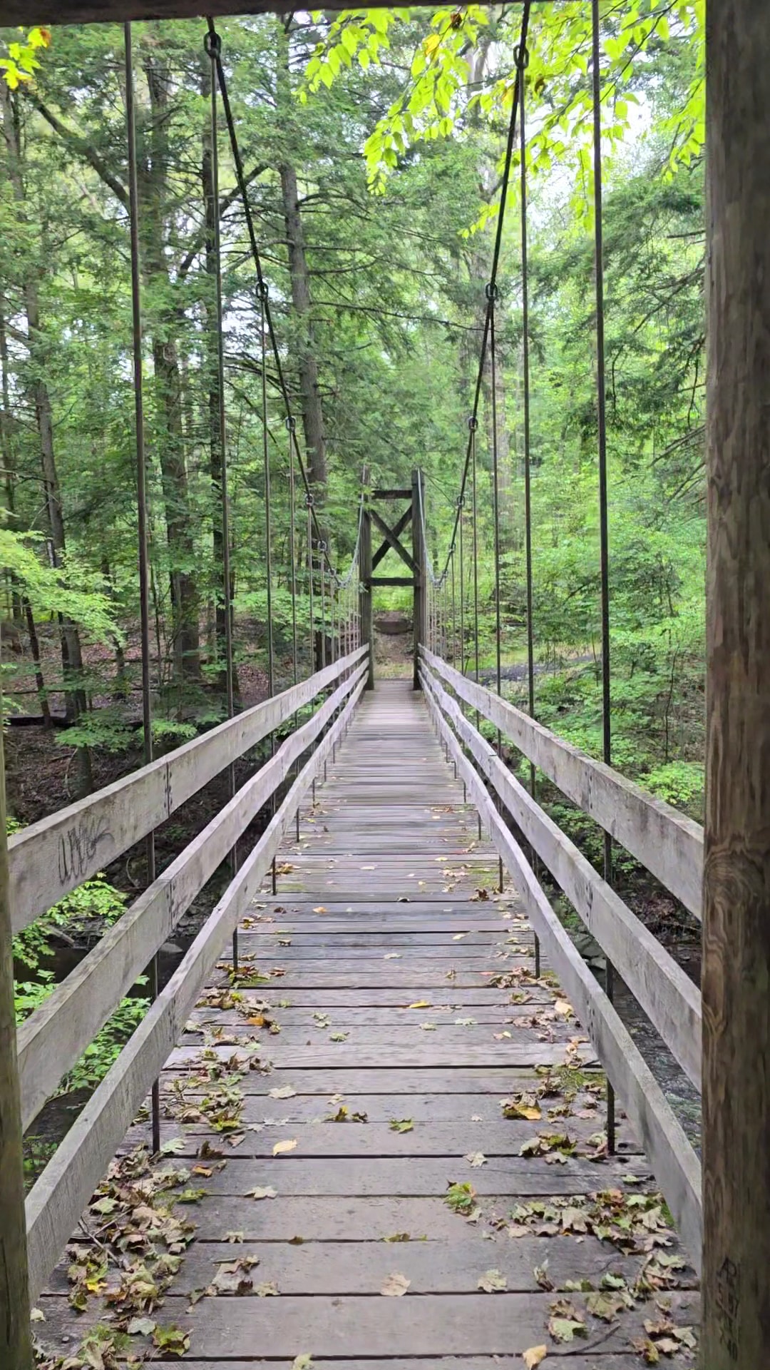 Black Creek Preserve - Esopus, NY