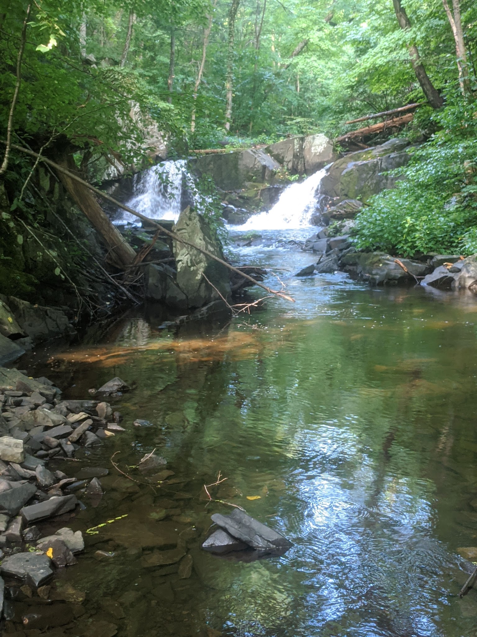 John Burroughs / Black Creek - Esopus, NY