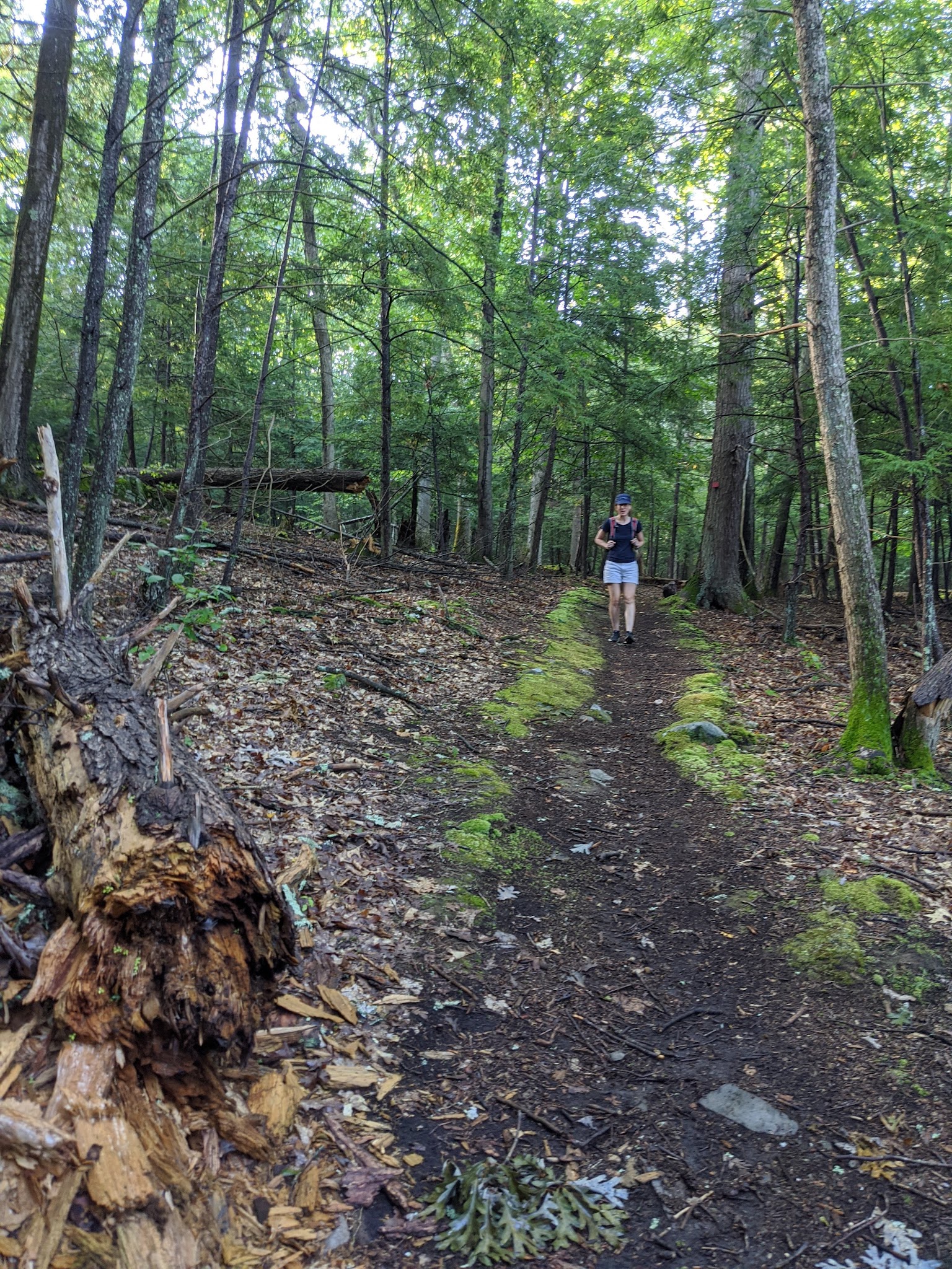 John Burroughs / Black Creek - Esopus, NY