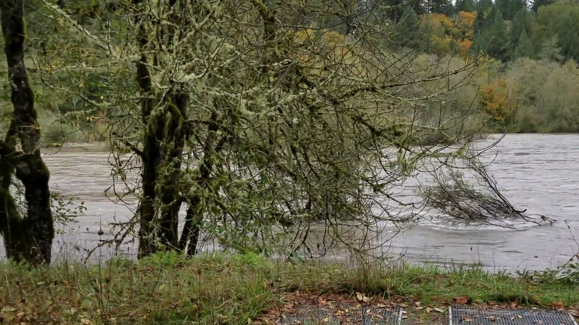 Milo McIver State Park - Estacada, OR
