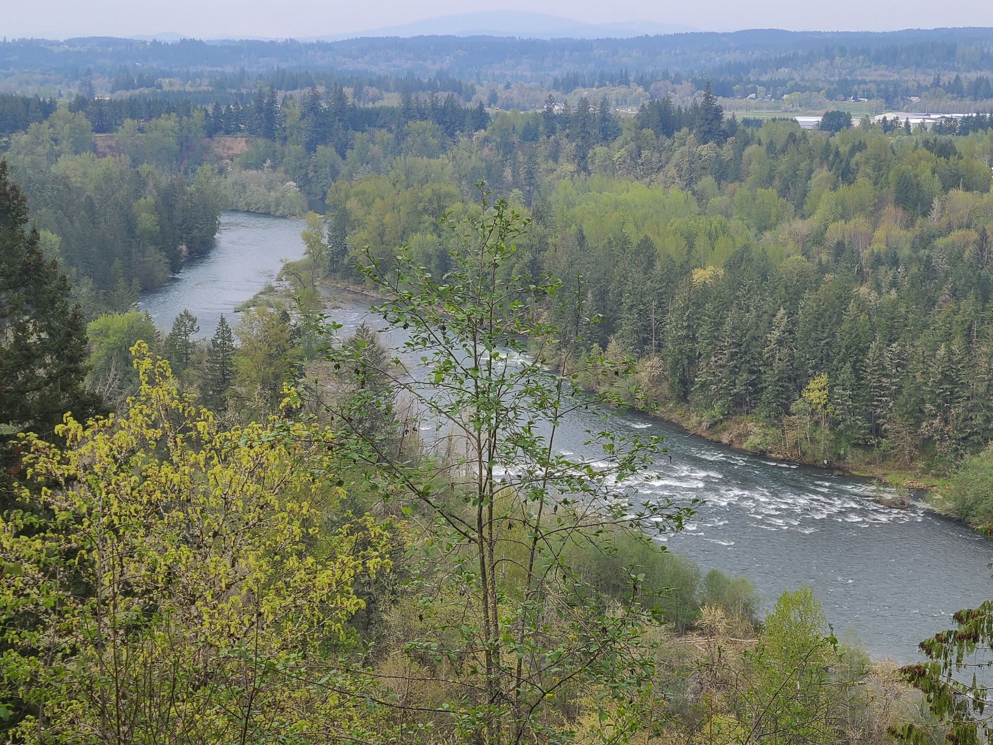 Milo McIver State Park - Estacada, OR