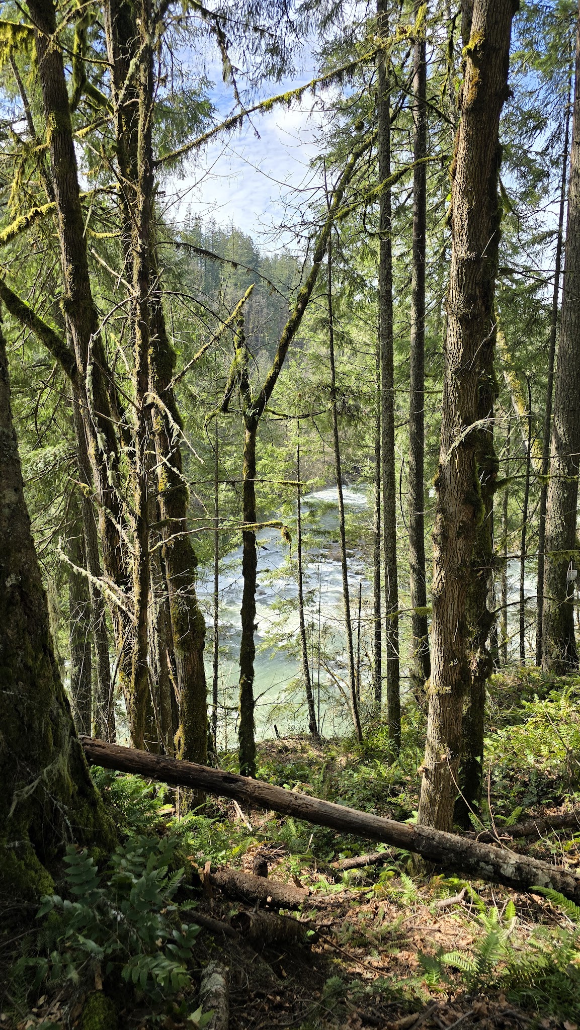 Old Clackamas Highway Trail - Estacada, OR