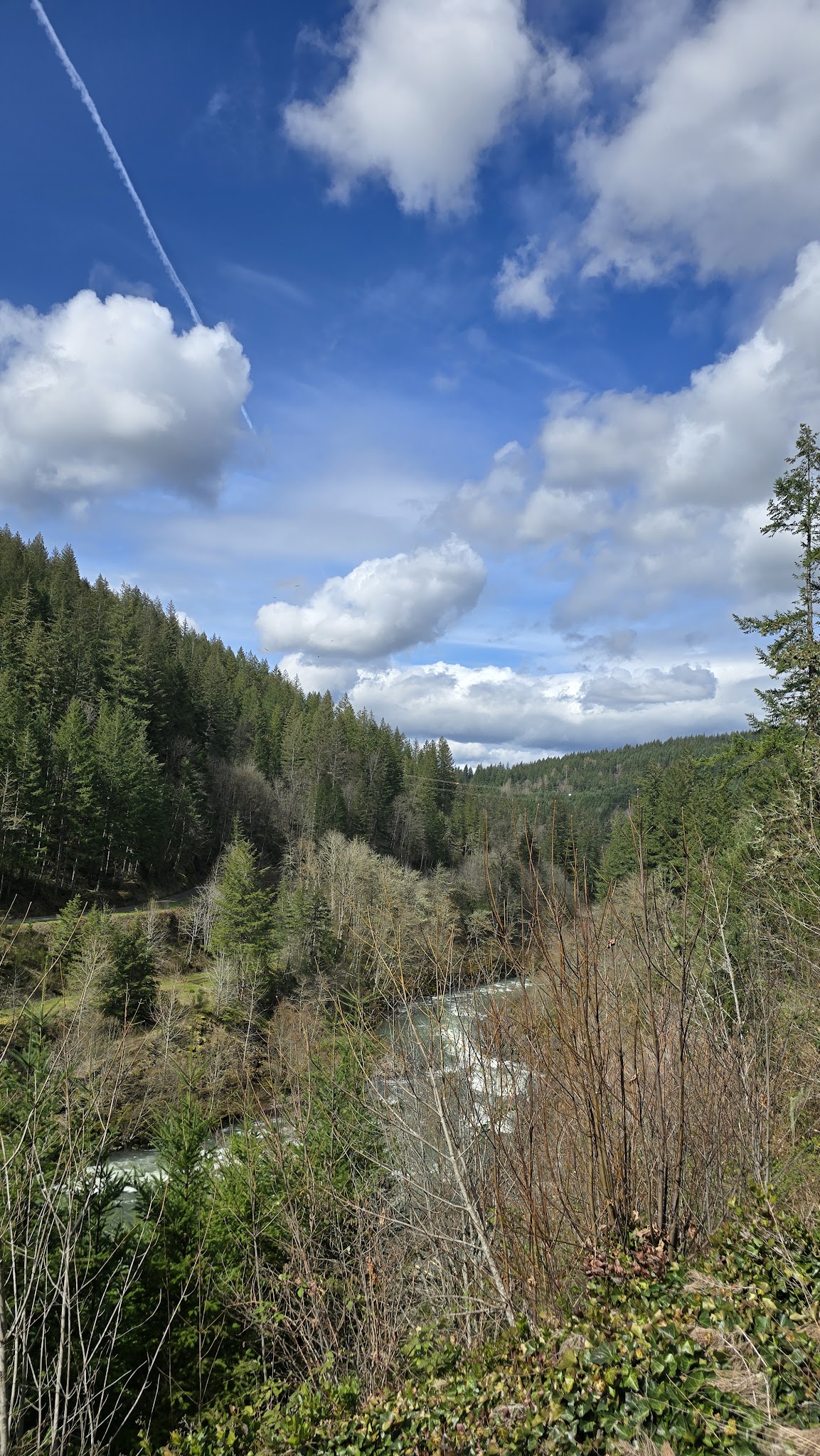 Old Clackamas Highway Trail - Estacada, OR