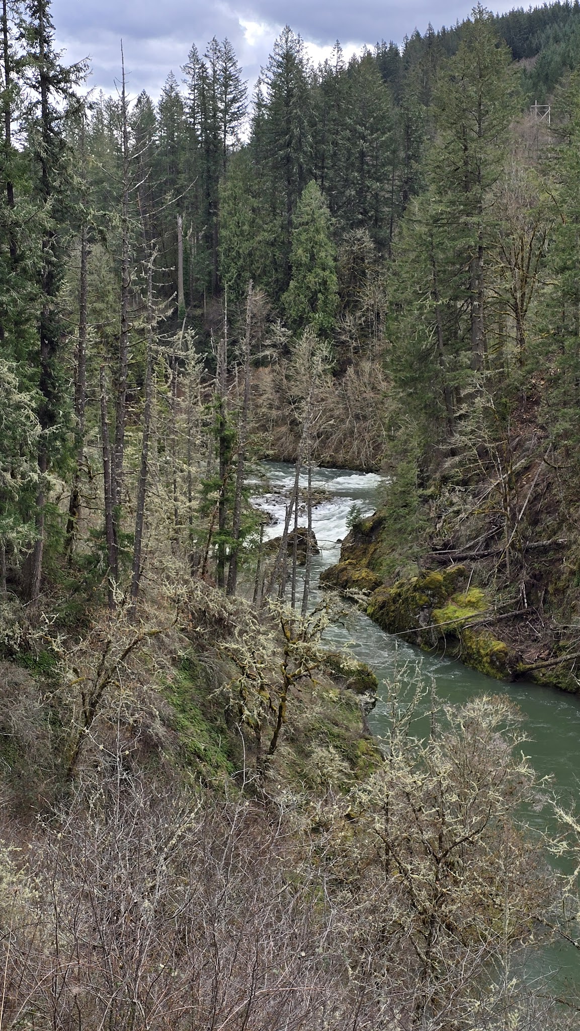 Old Clackamas Highway Trail - Estacada, OR