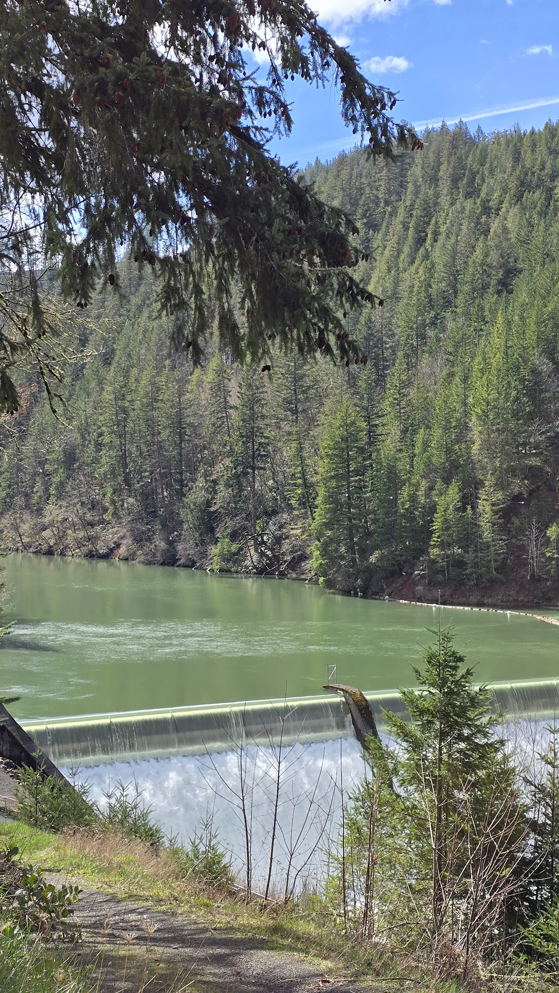 Old Clackamas Highway Trail - Estacada, OR