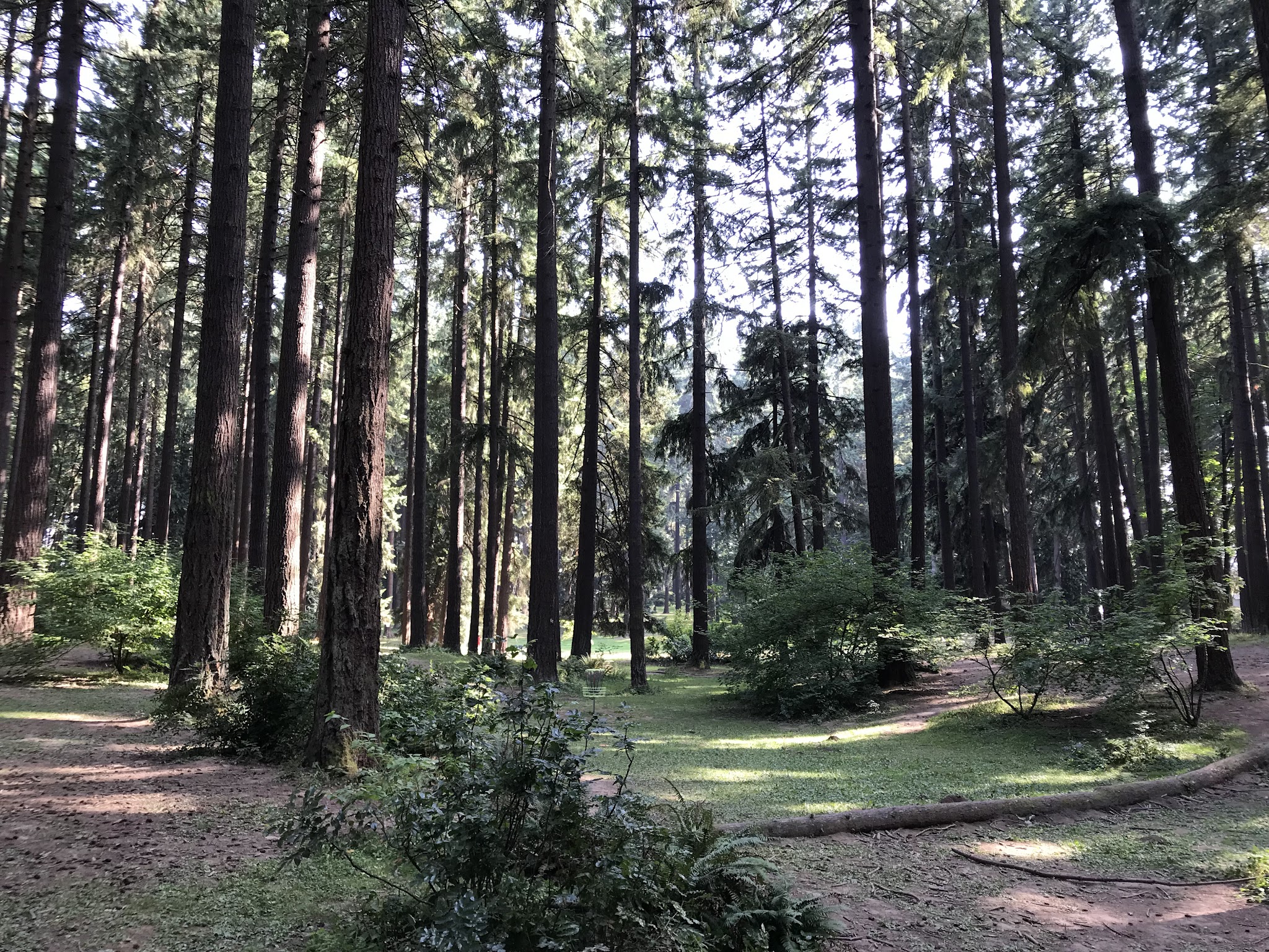 Timber Park - Estacada, OR