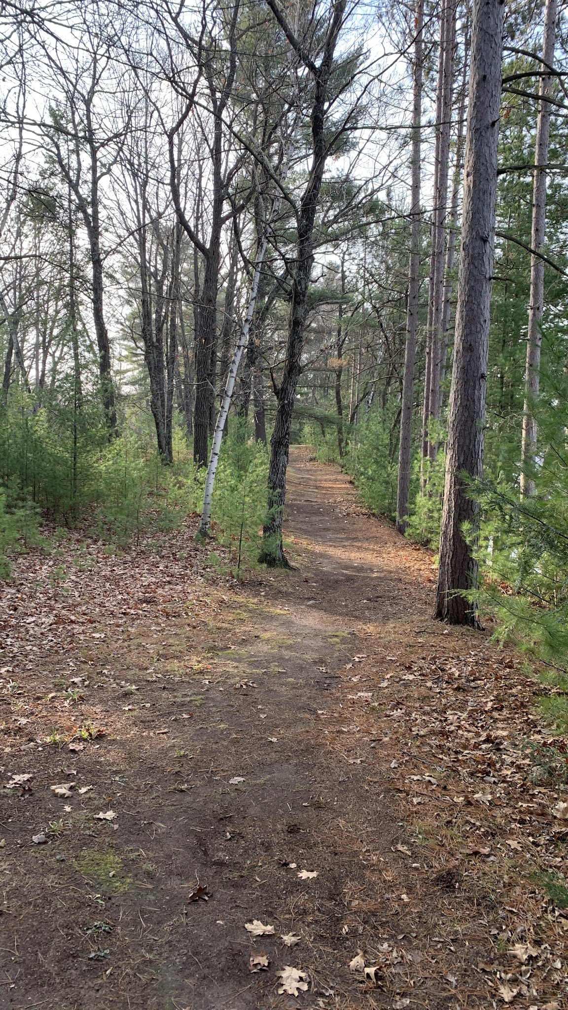 Brunet Island State Park Pet Run - Estella, WI
