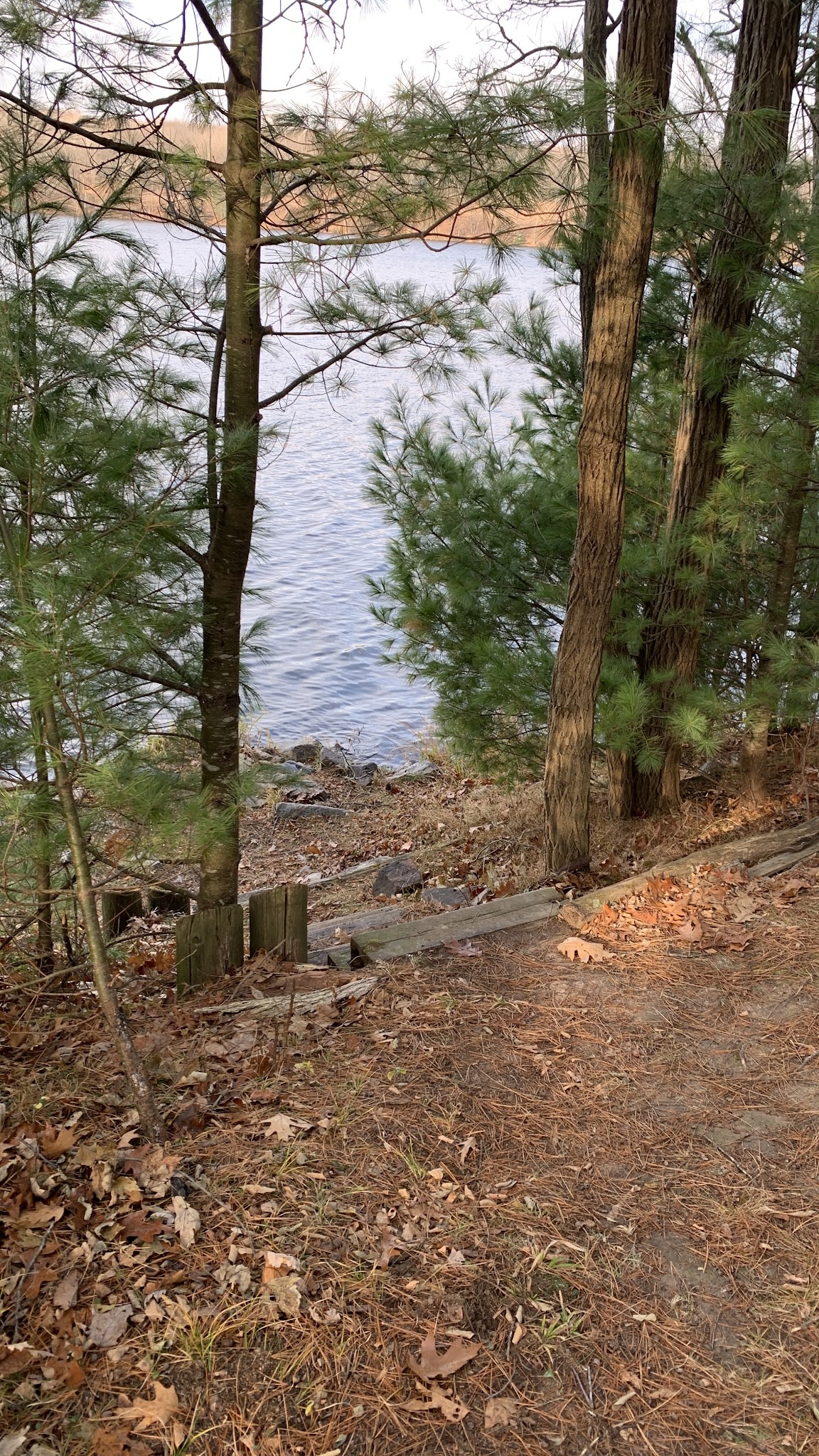 Brunet Island State Park Pet Run - Estella, WI