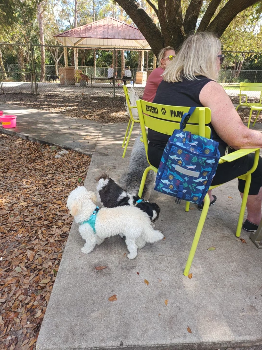 Freedom Paws - Estero, FL