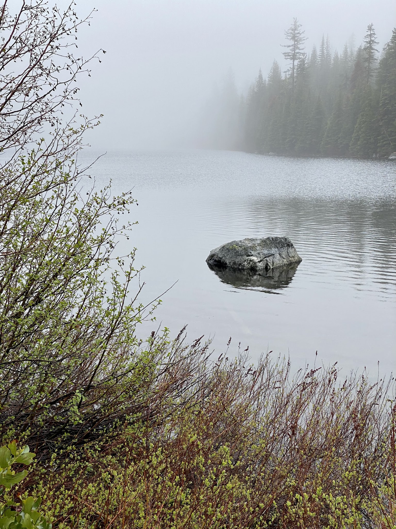Taylor Lake Trailhead - Etna, CA