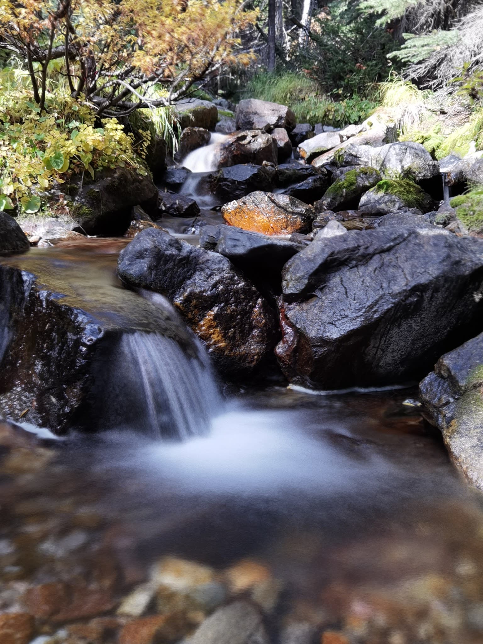 Taylor Lake Trailhead - Etna, CA