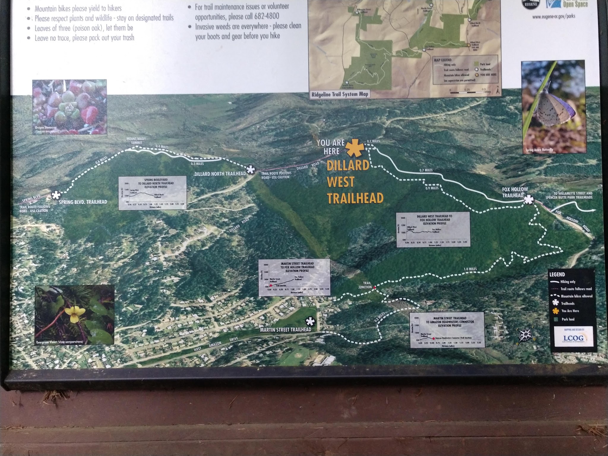 Dillard West Trailhead - Eugene, OR