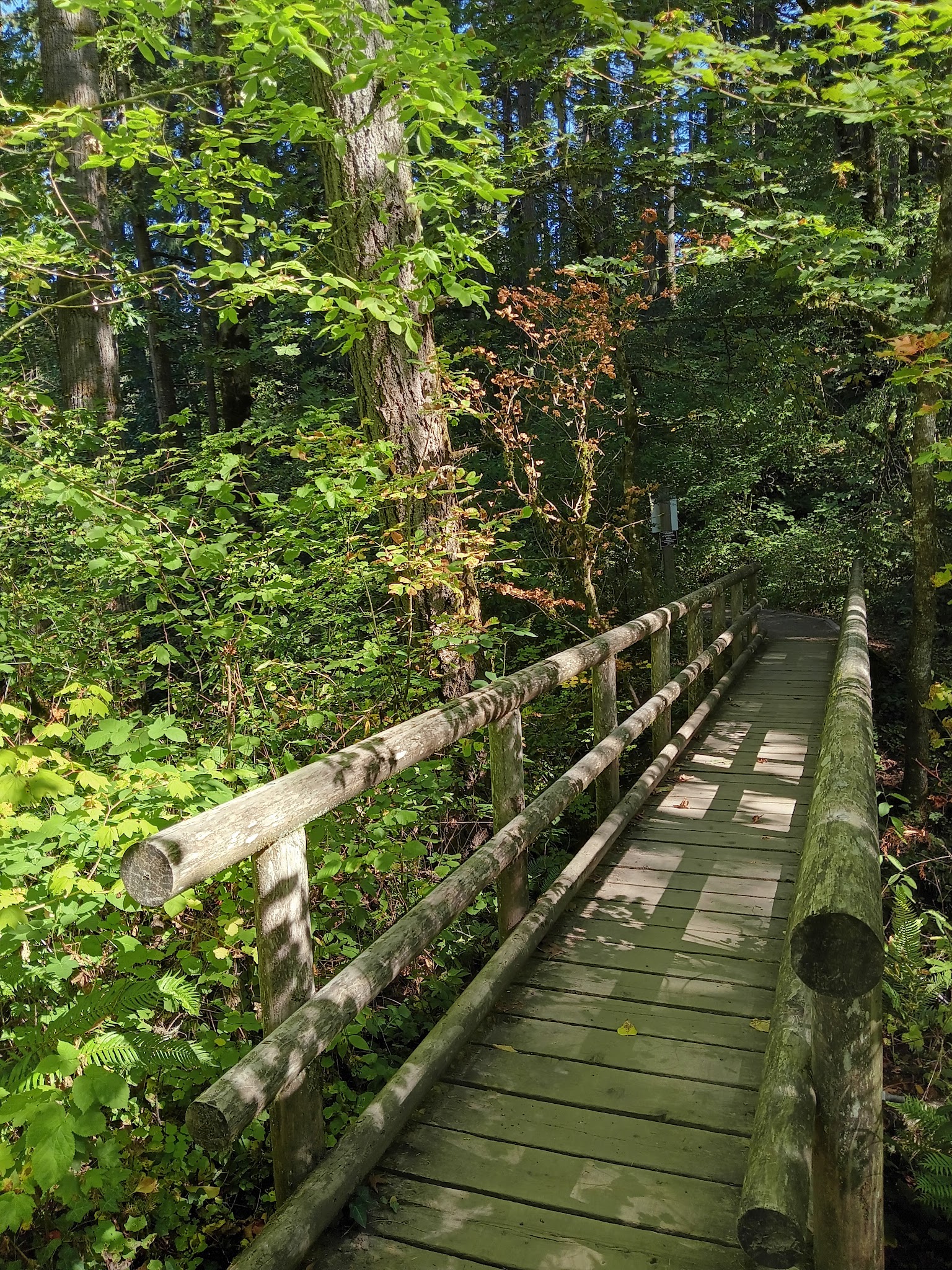 Dillard West Trailhead - Eugene, OR