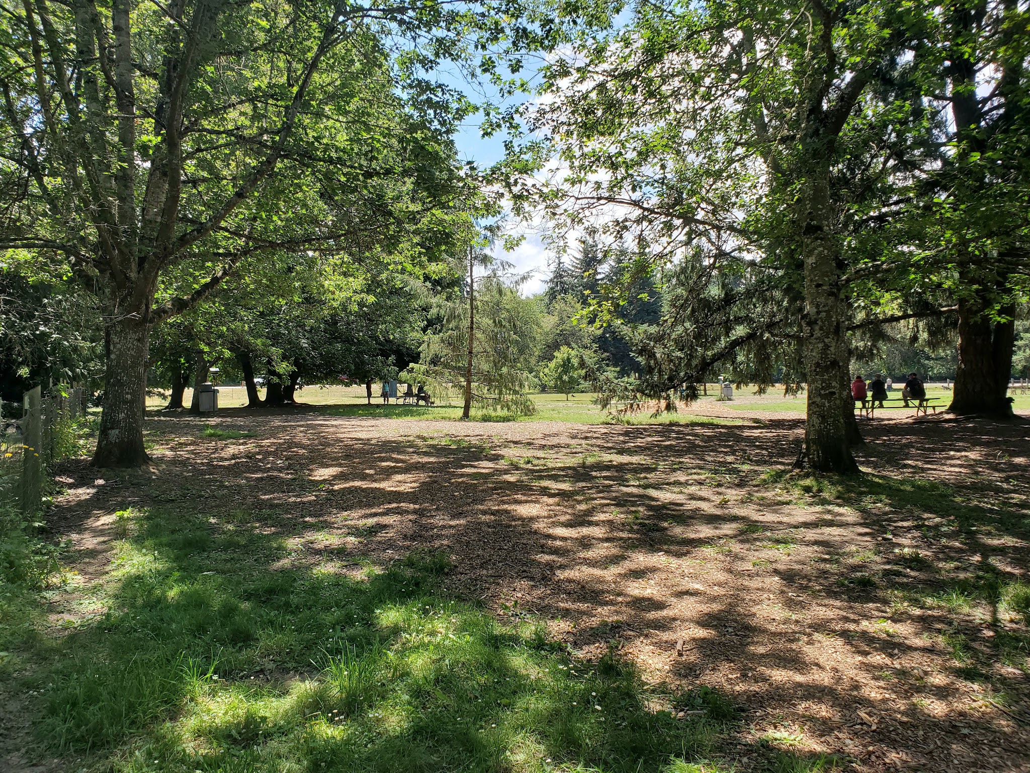 Armitage Dog Park - Eugene, OR